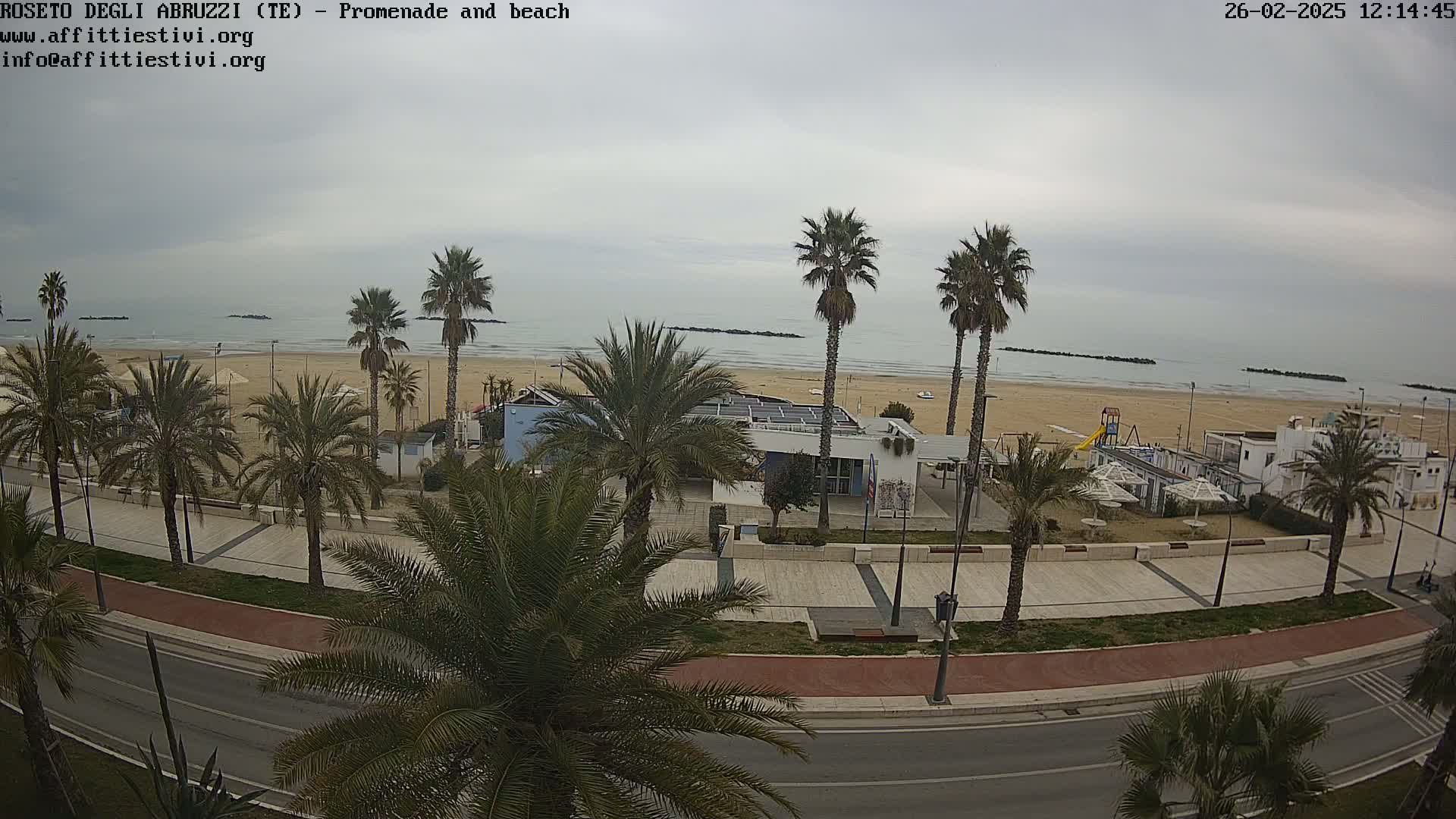 A beach with calm, overcast skies is viewed from above, showing a promenade lined with palm trees, a paved walkway, and a road.