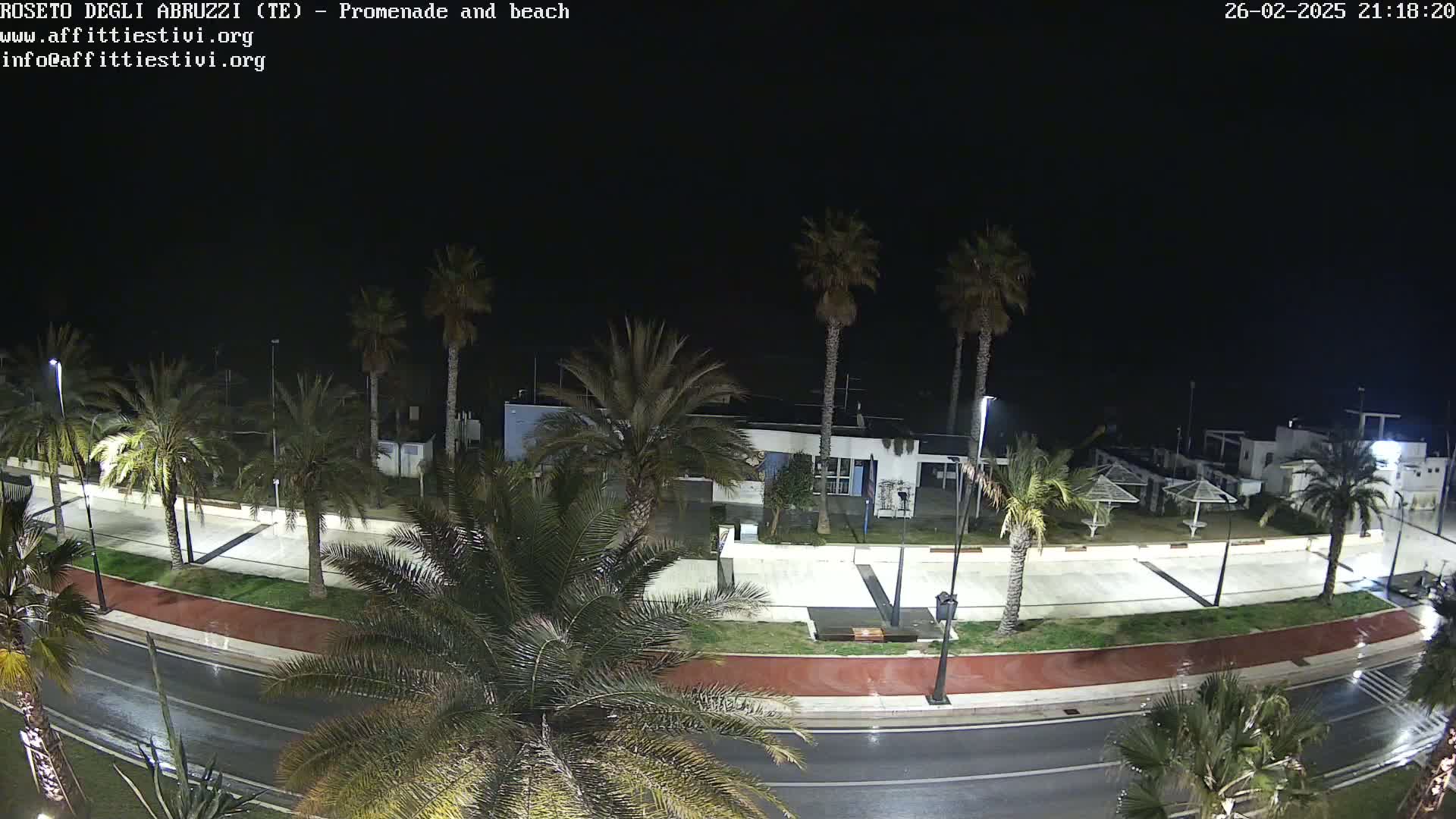 A nighttime, rain-slicked promenade and beach lined with palm trees is visible, with some buildings and outdoor furniture in the background.