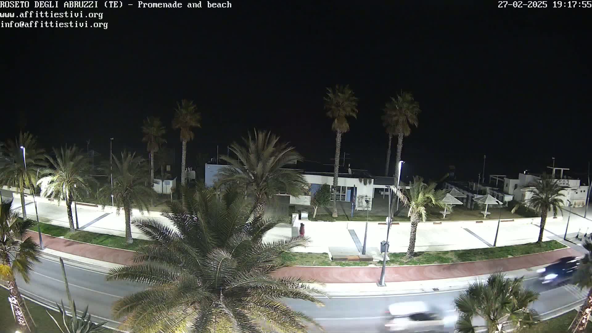 A nighttime view of a palm tree-lined promenade and beach, with cars driving on the road.