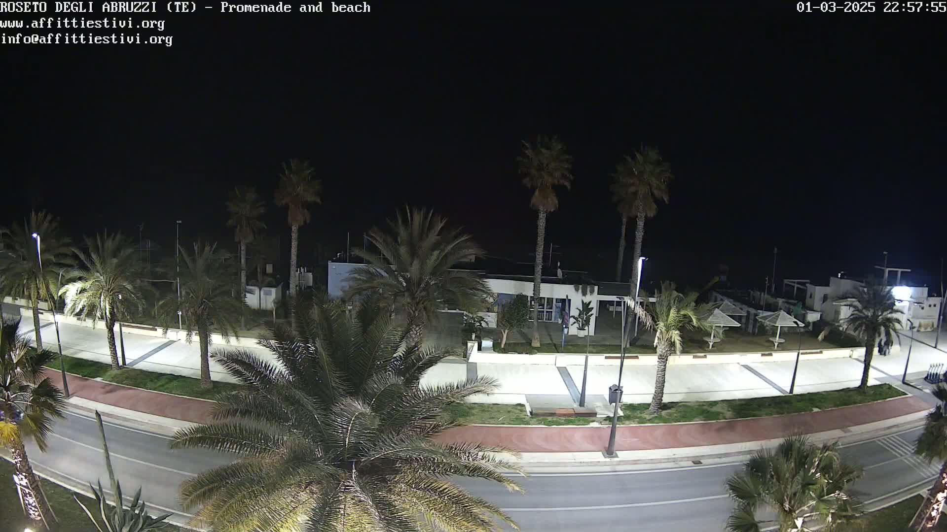 A nighttime view of a seaside promenade lined with palm trees, featuring a road, beachside structures, and several outdoor umbrellas.