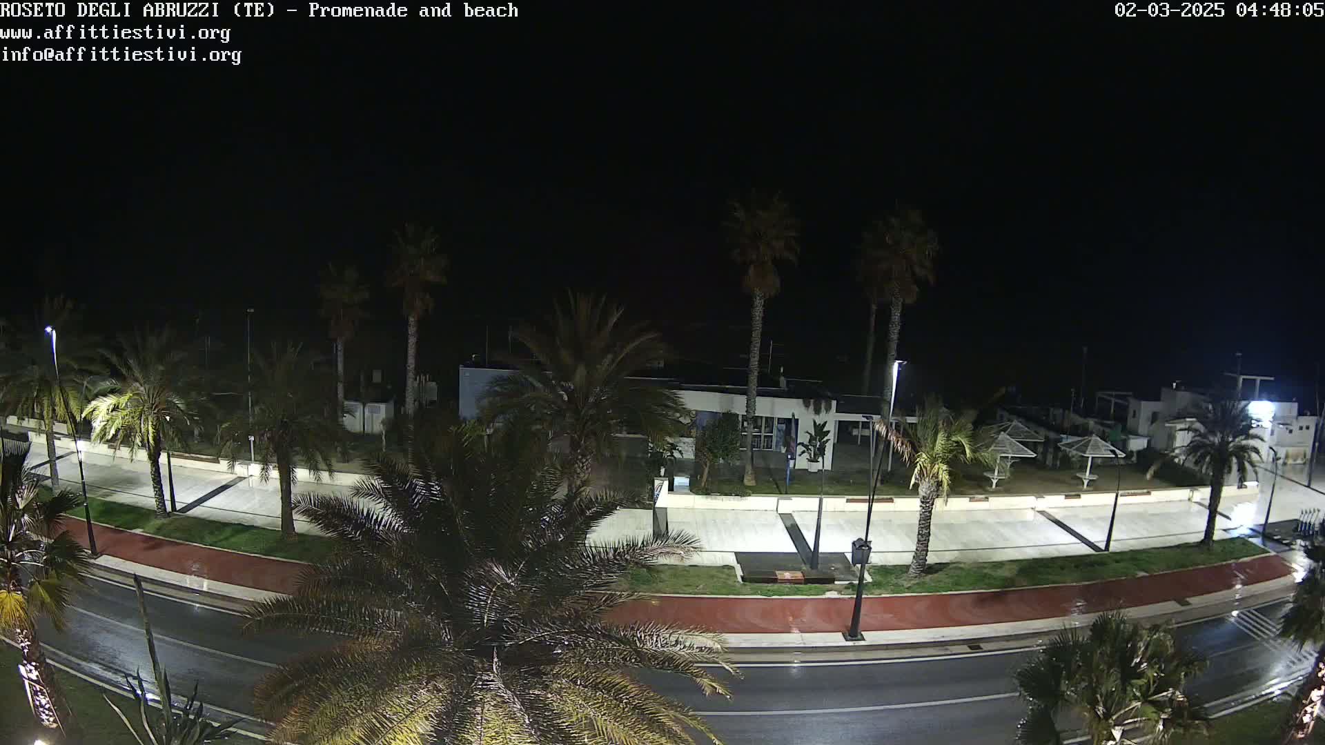 A nighttime, wet view of a promenade and beach, lined with palm trees, showing a roadway and paved walkway.