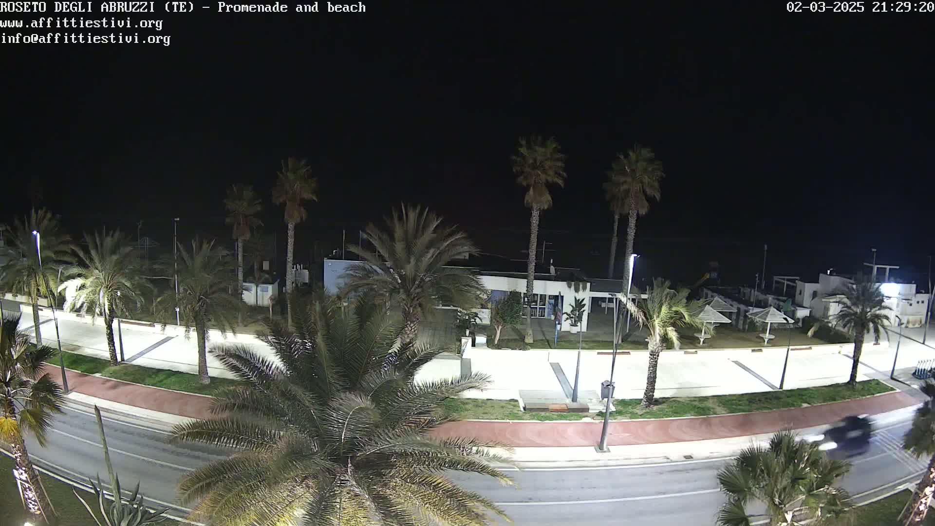 A nighttime, overhead view of a promenade and beach with palm trees lining a road next to a paved walkway and several buildings.