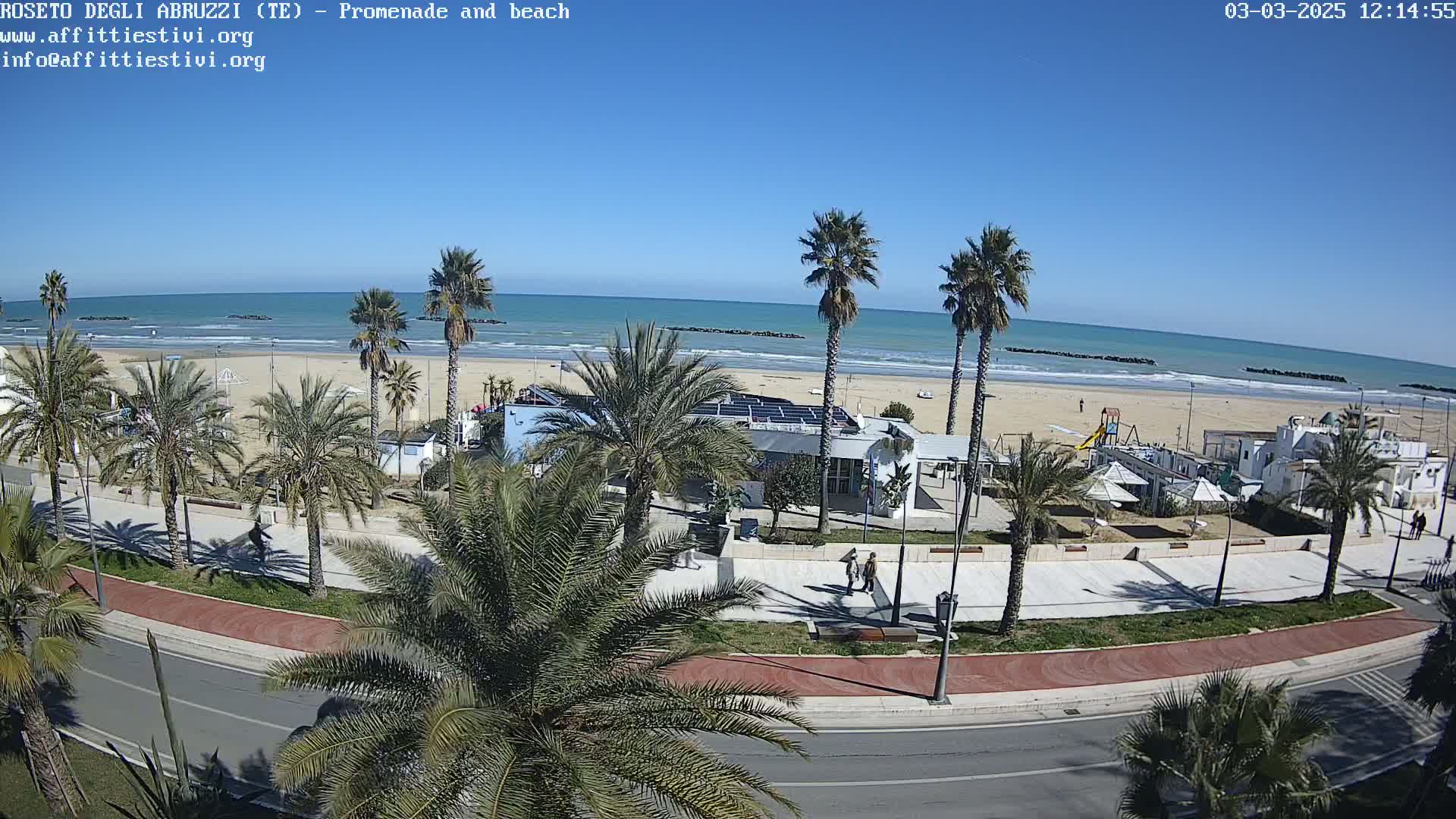 A sunny day at a beachside promenade shows palm trees lining a paved walkway next to a sandy beach and calm ocean.