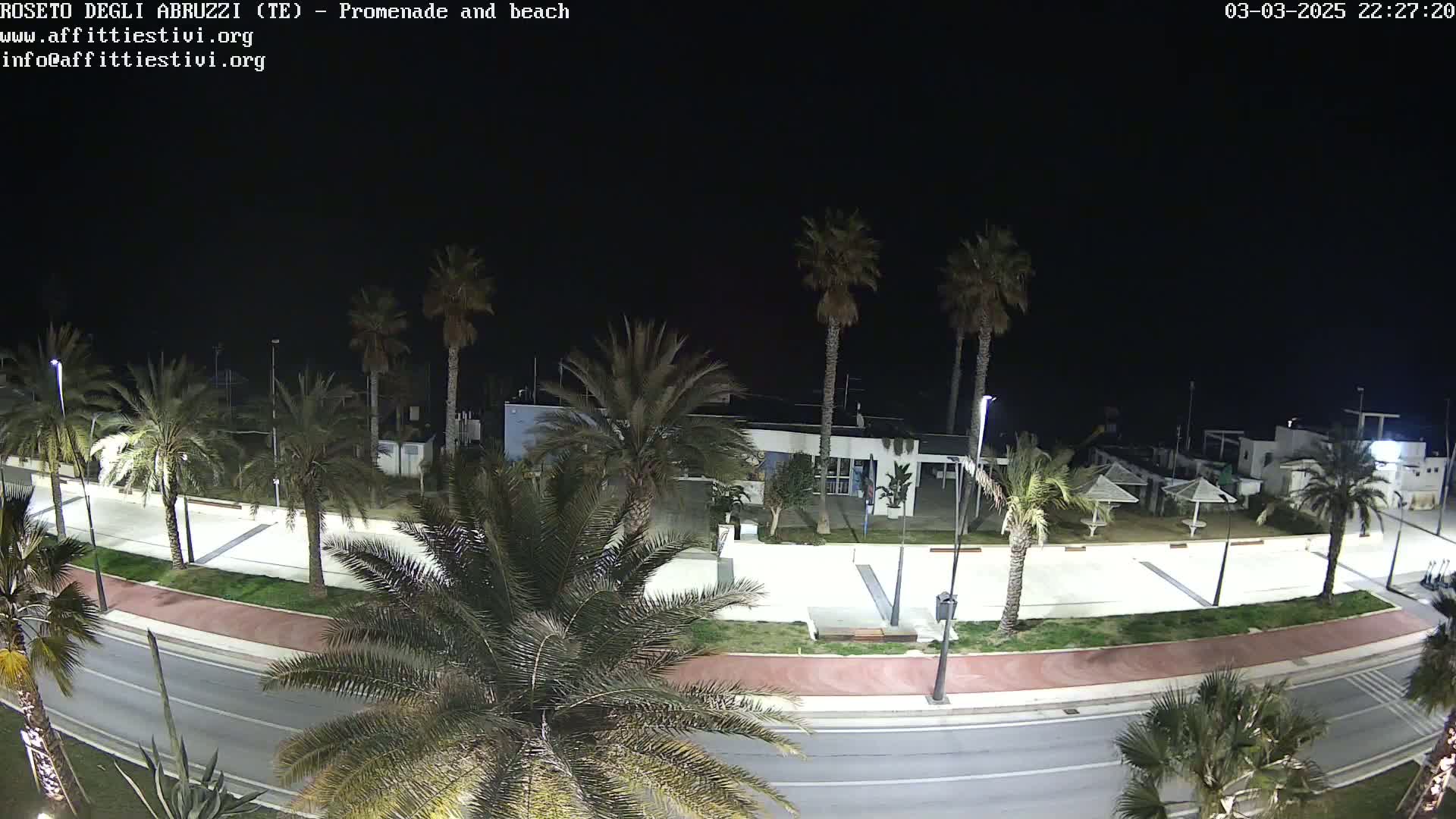 A nighttime, overhead view of a palm-tree lined promenade and beach, with a road separating the walkway from the street.