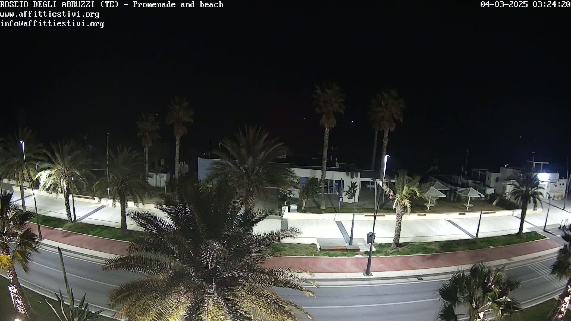 A nighttime, overhead view of a beachside promenade lined with palm trees, featuring a paved walkway, road, and some beach umbrellas.