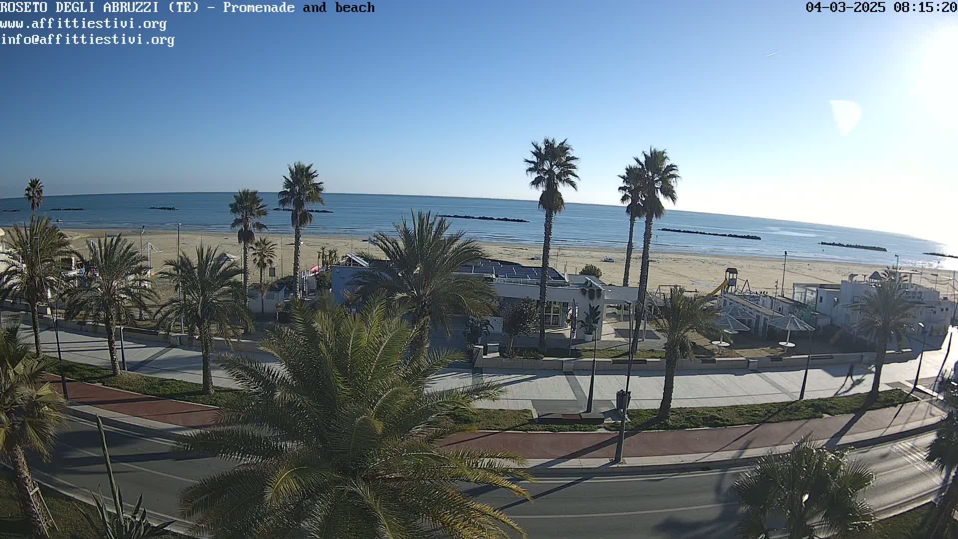 A beach with palm trees and a promenade is visible on a sunny day, overlooking a calm ocean.
