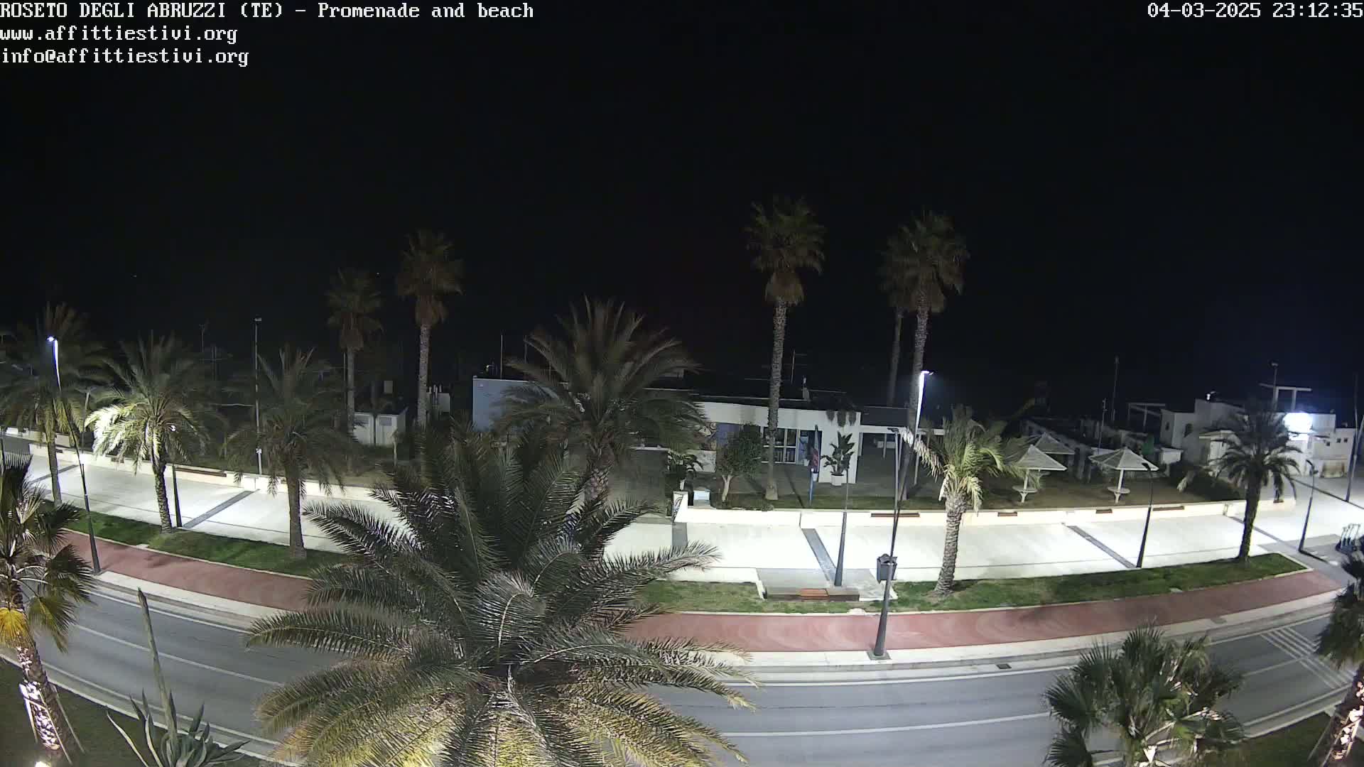 A nighttime, high-angle view of a paved promenade lined with palm trees, leading to a beach with a building and several closed beach umbrellas.