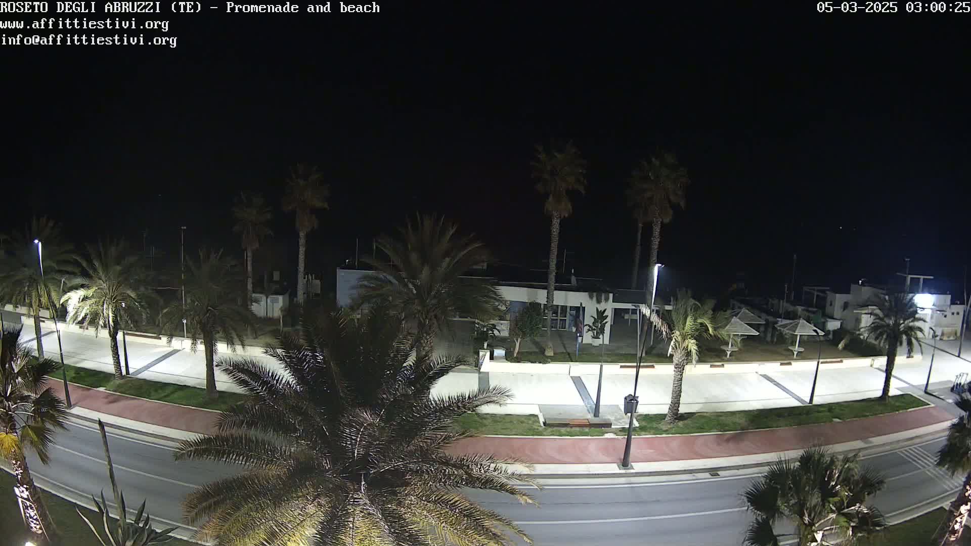 A nighttime view of a palm tree-lined promenade and beach, with a road running alongside.