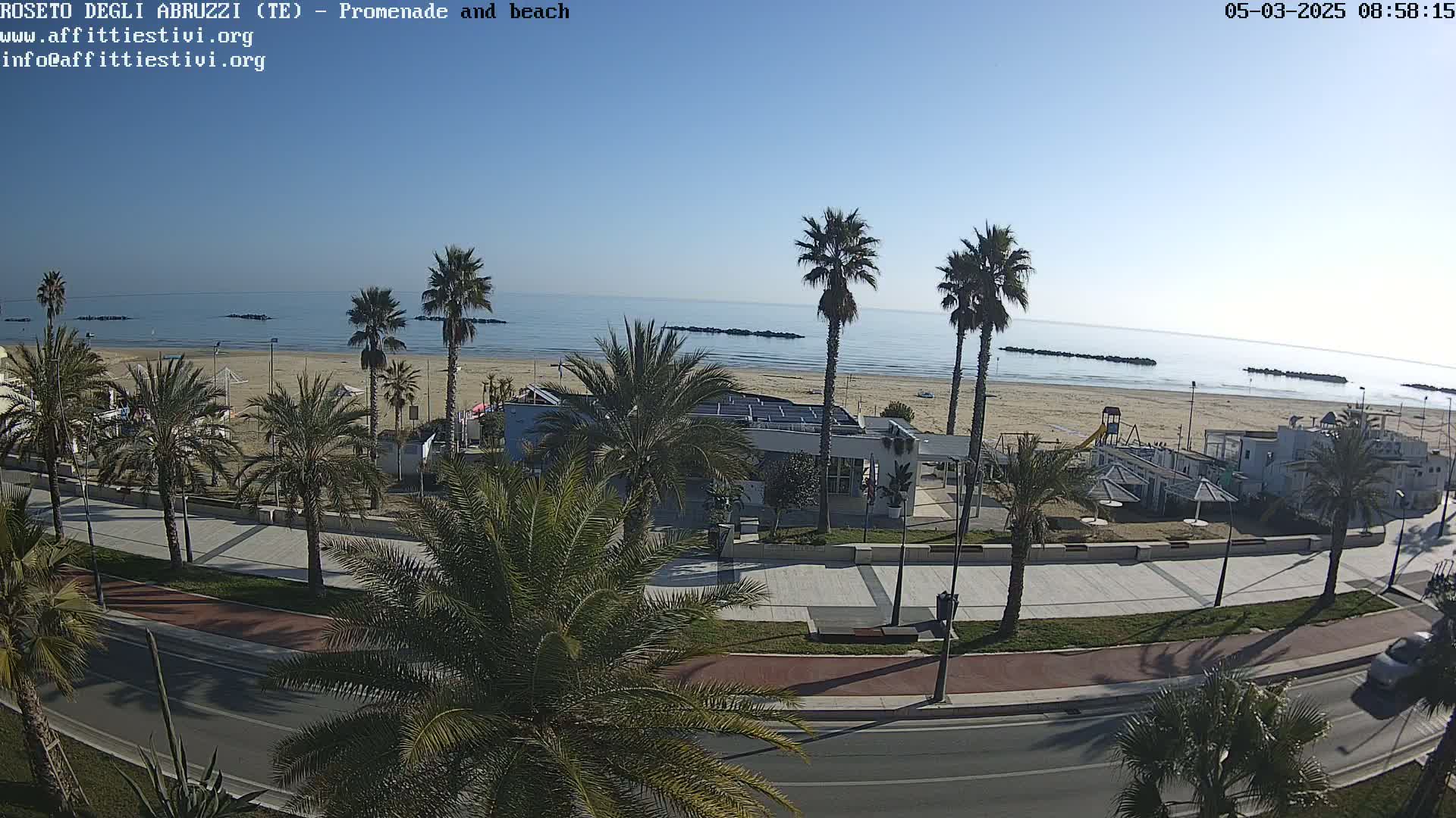 A sunny day overlooking a beach promenade lined with palm trees, a sandy beach, and a calm ocean.