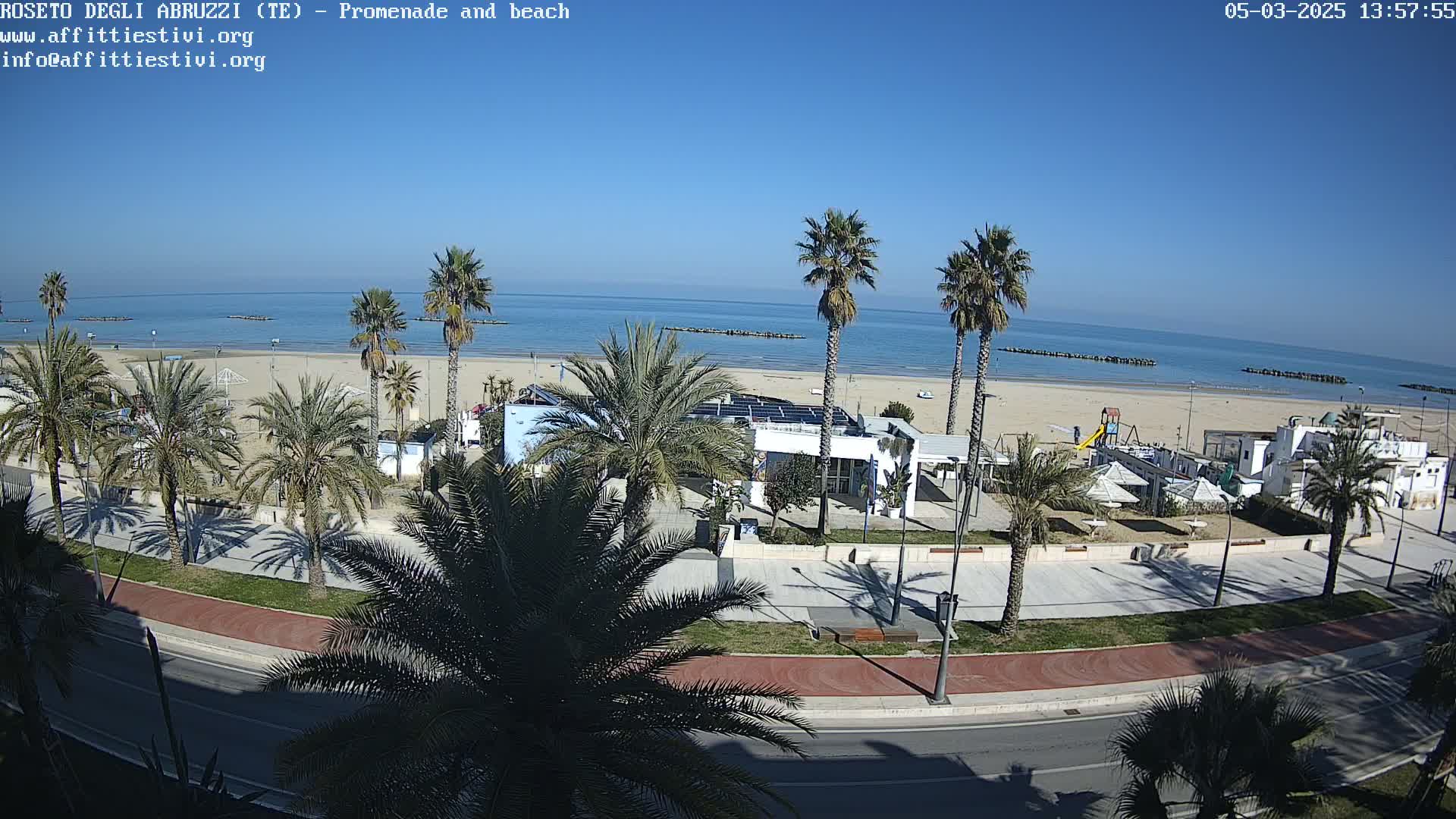 A beach with palm trees lining a paved promenade next to a calm, blue ocean under a clear sky.