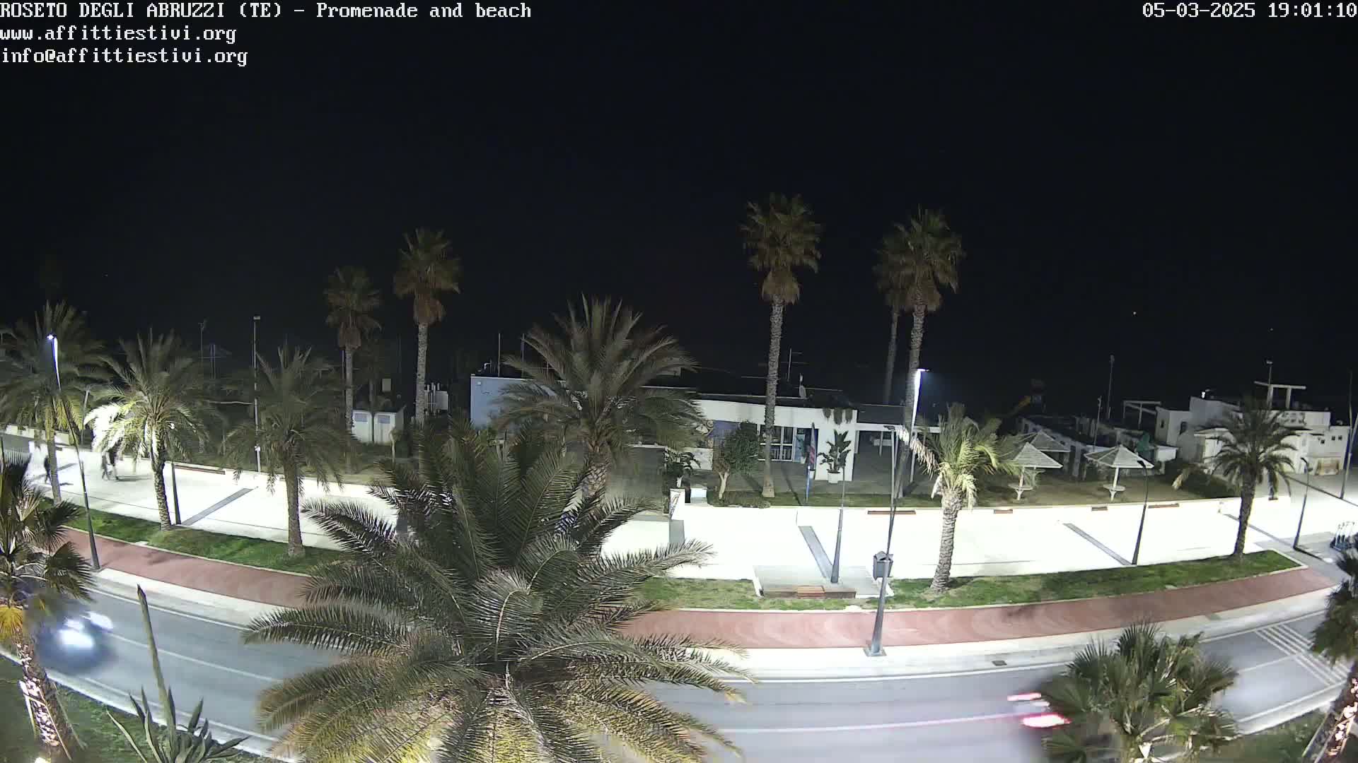A nighttime, overhead view of a palm tree-lined promenade and beach, with a few cars visible on the road.