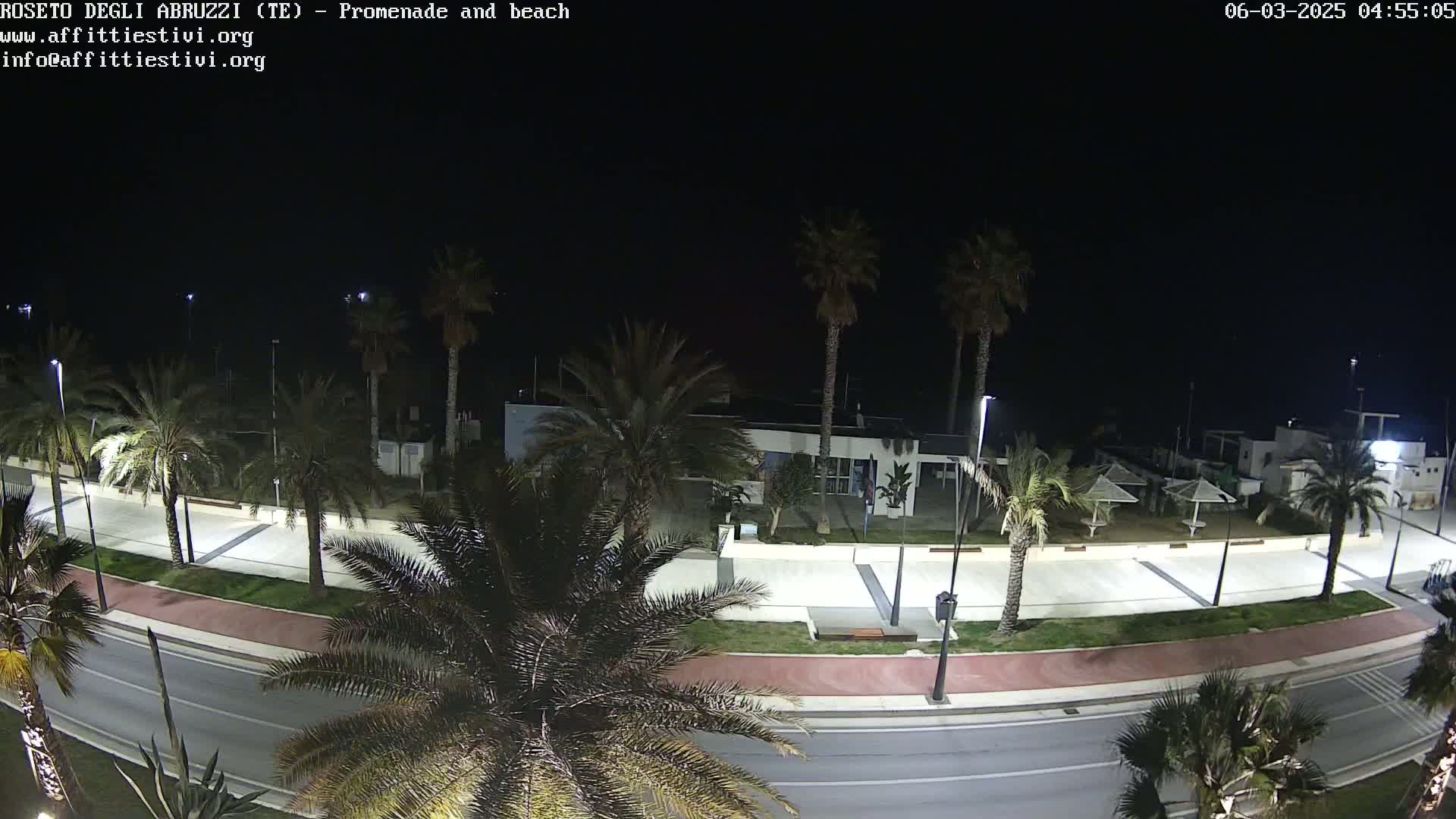 A nighttime, high-angle view of a beachfront promenade lined with palm trees, featuring a roadway, paved walkway, and several structures under a dark sky.