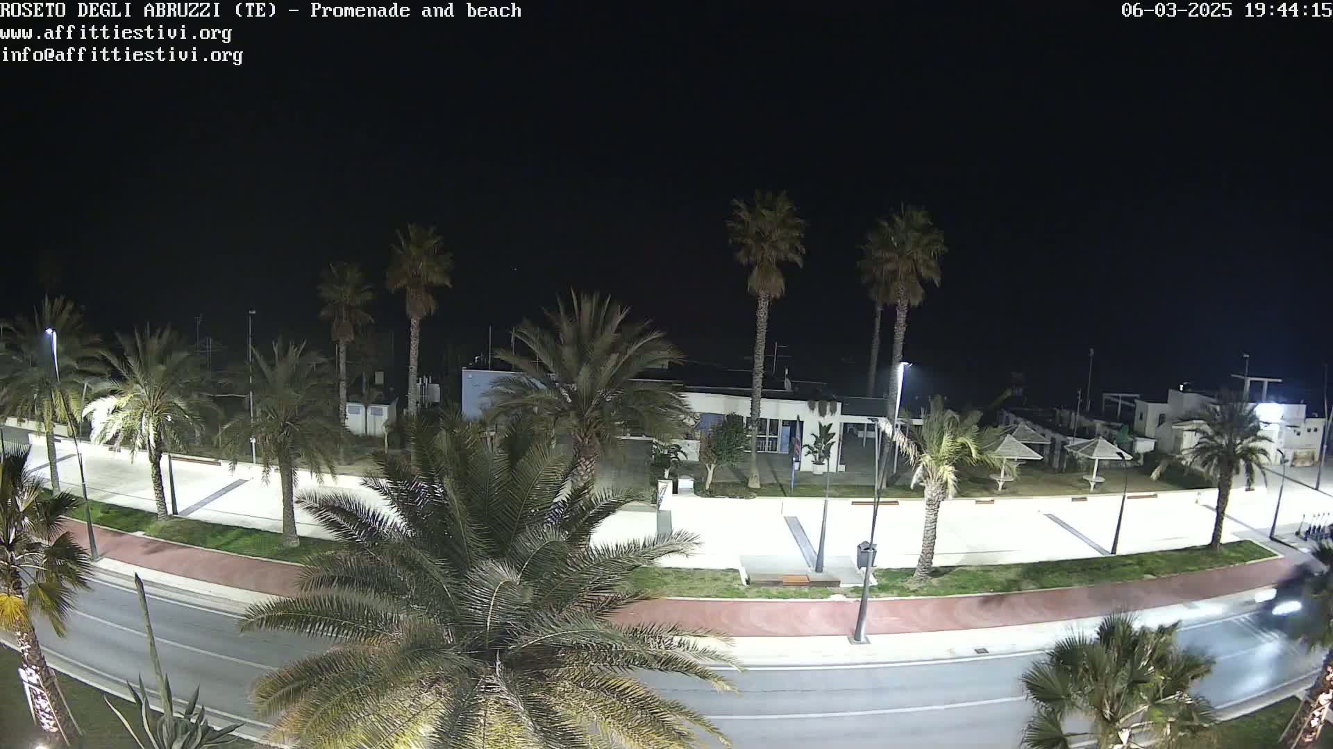 A nighttime view of a palm tree-lined promenade and beach, with a road running alongside, under a clear, dark sky.
