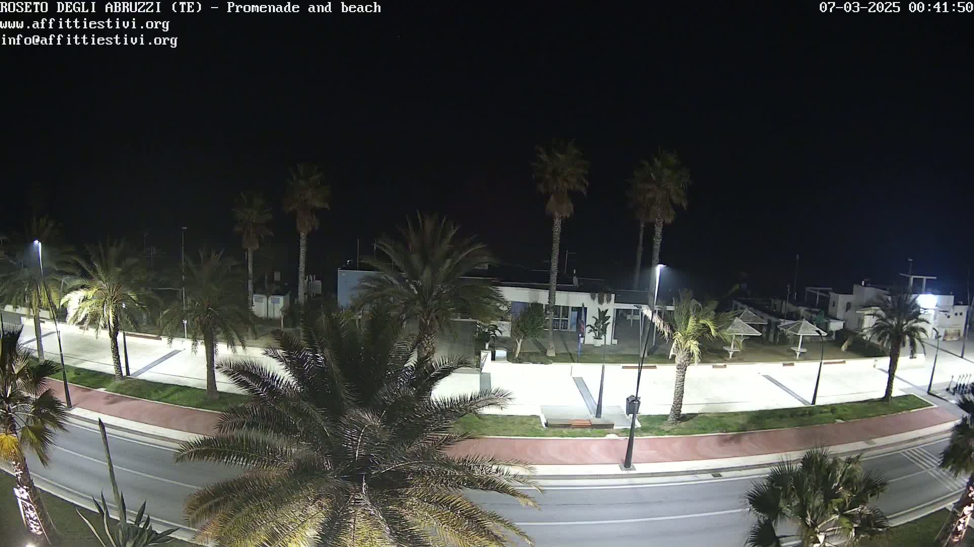 A nighttime view of a palm tree-lined promenade and beach, with a road separating the walkway from the ocean.