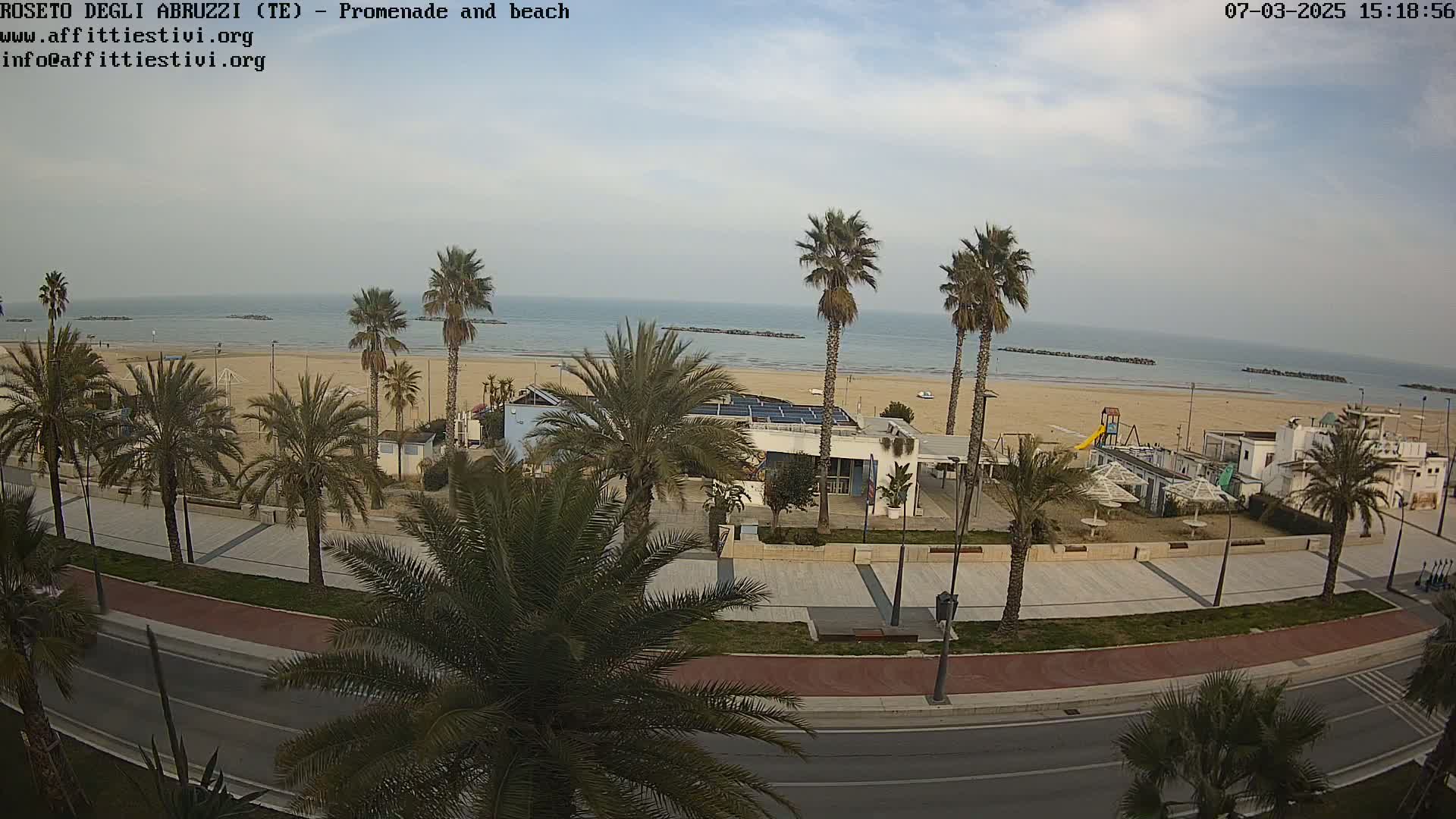 A beach scene with palm trees lining a promenade and road, overlooking a calm ocean under a mostly clear sky.