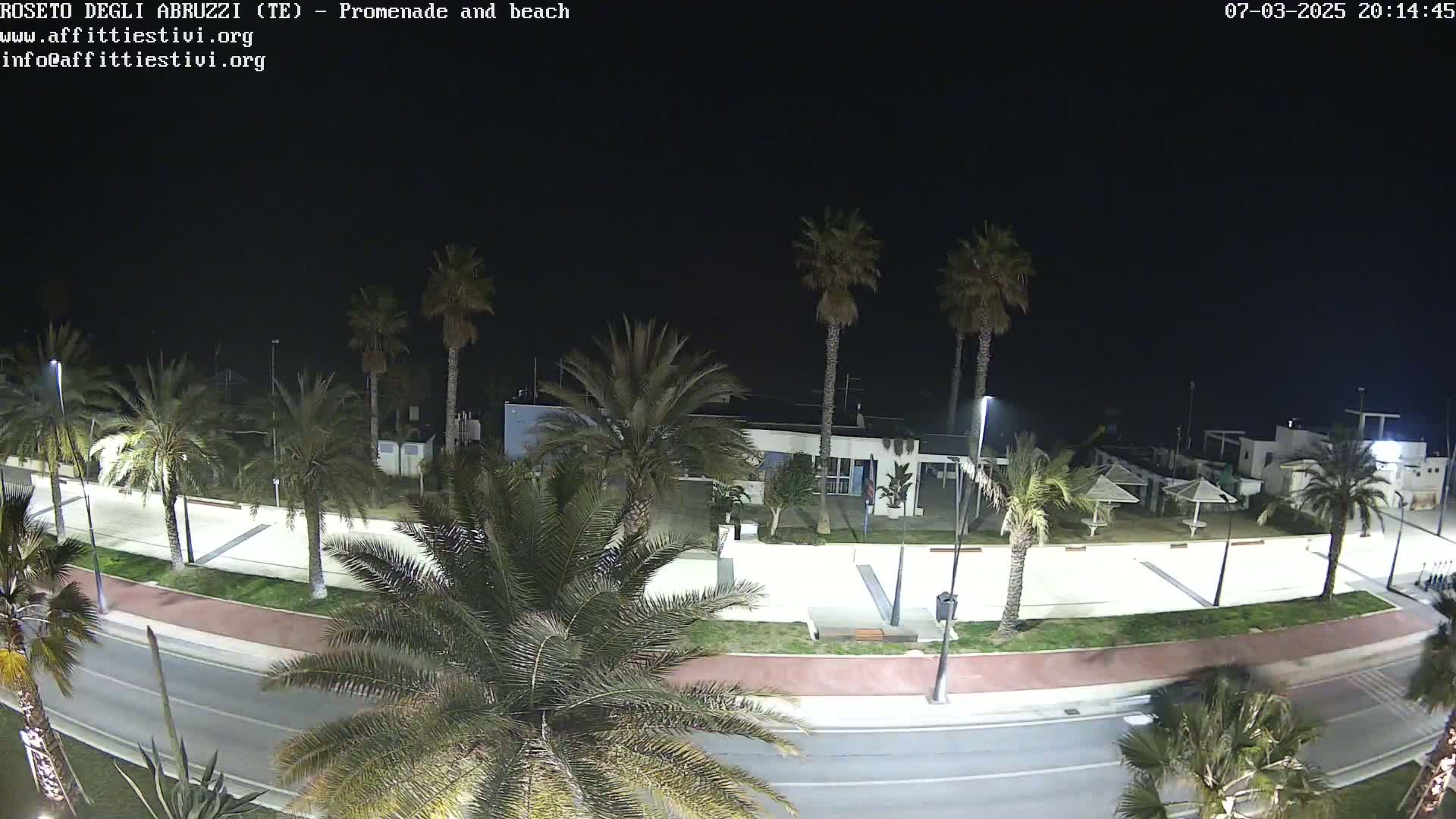 A nighttime, overhead view of a beachfront promenade lined with palm trees, featuring a roadway, a paved area with some outdoor seating, and a building in the background under a clear, dark sky.
