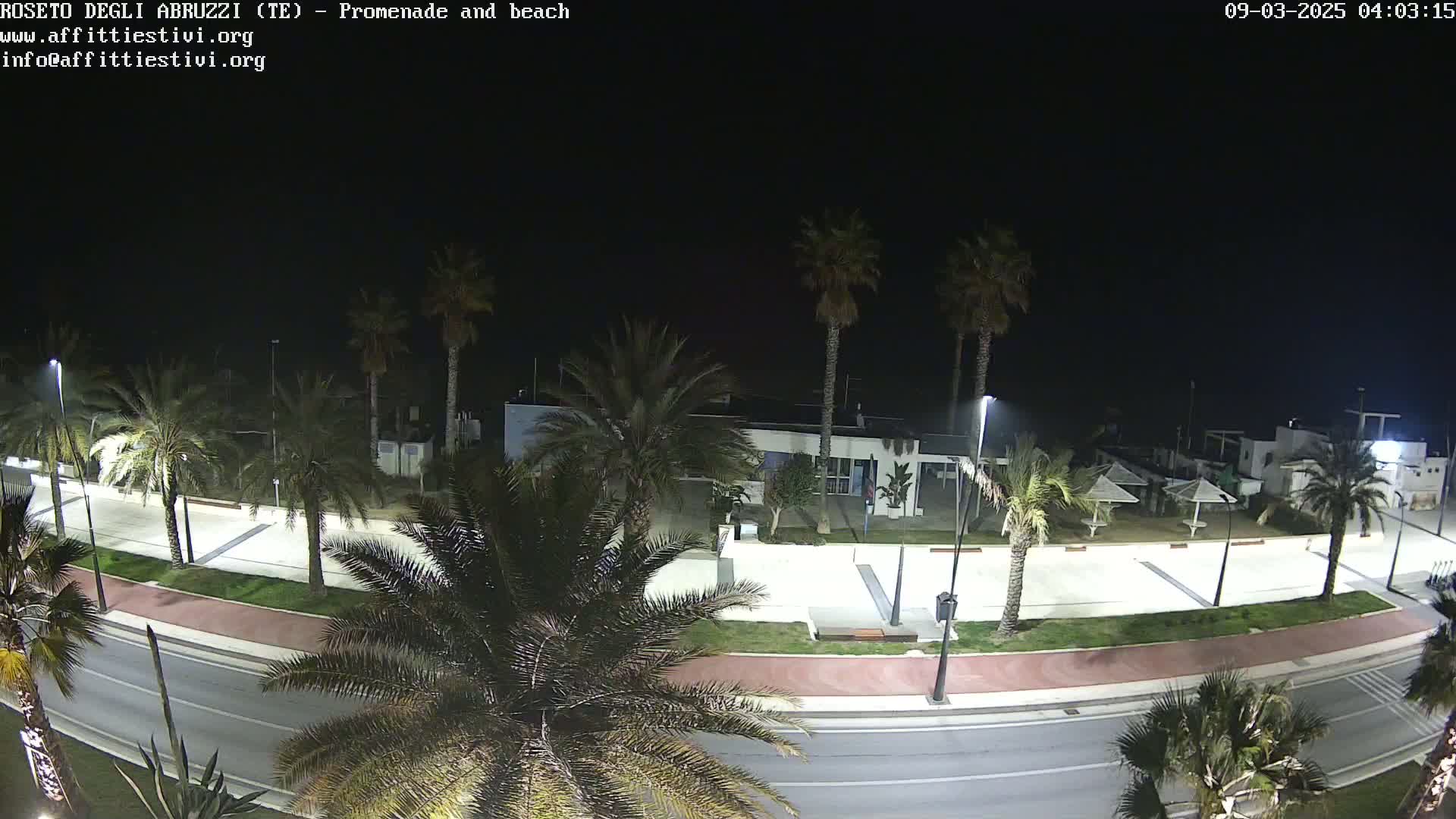 A nighttime, overhead view of a paved promenade and beach area lined with palm trees, featuring a road, and some beach umbrellas.