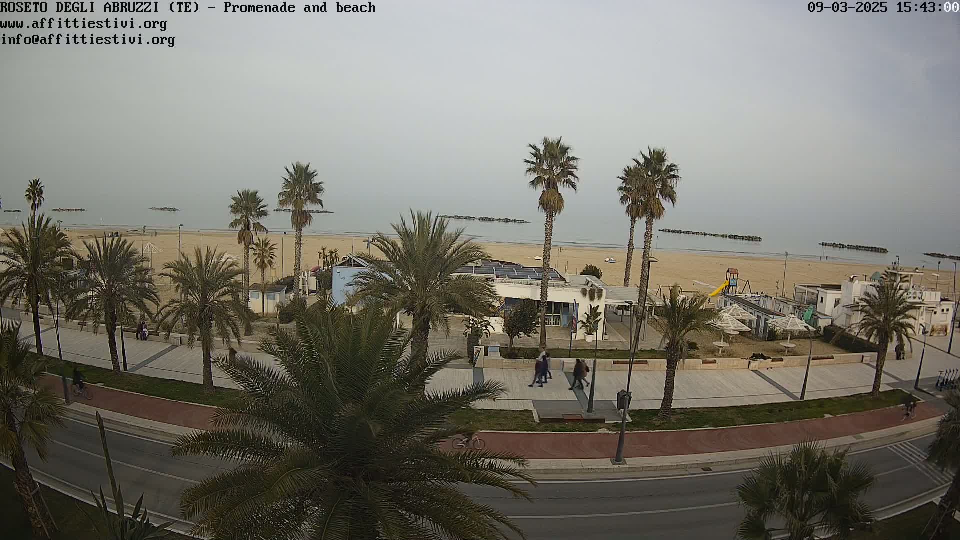 A beach with palm trees lining a promenade next to a road, under an overcast sky.