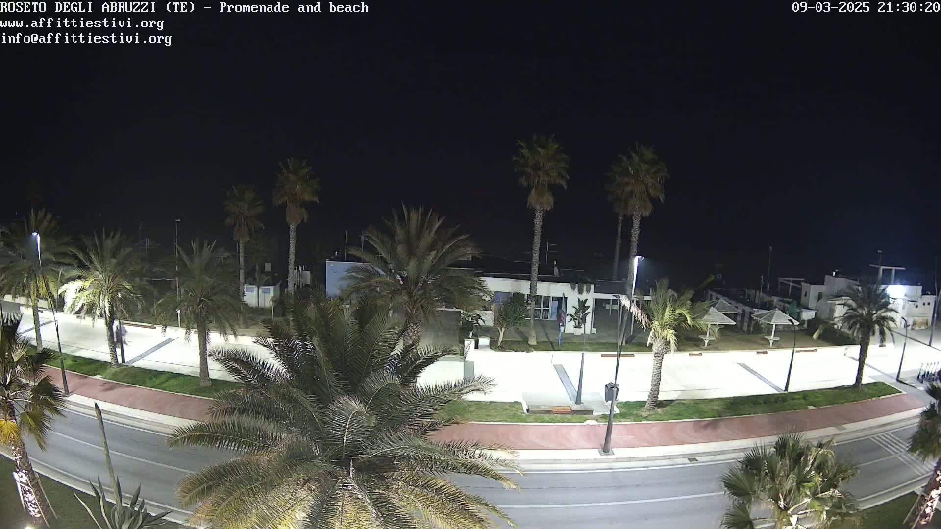 A nighttime, high-angle view of a palm tree-lined promenade and beach, with a road separating the two.
