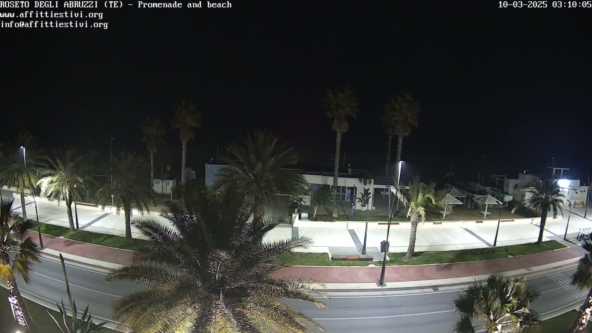 A nighttime view of a palm tree-lined promenade and beach, with a roadway and a building visible.