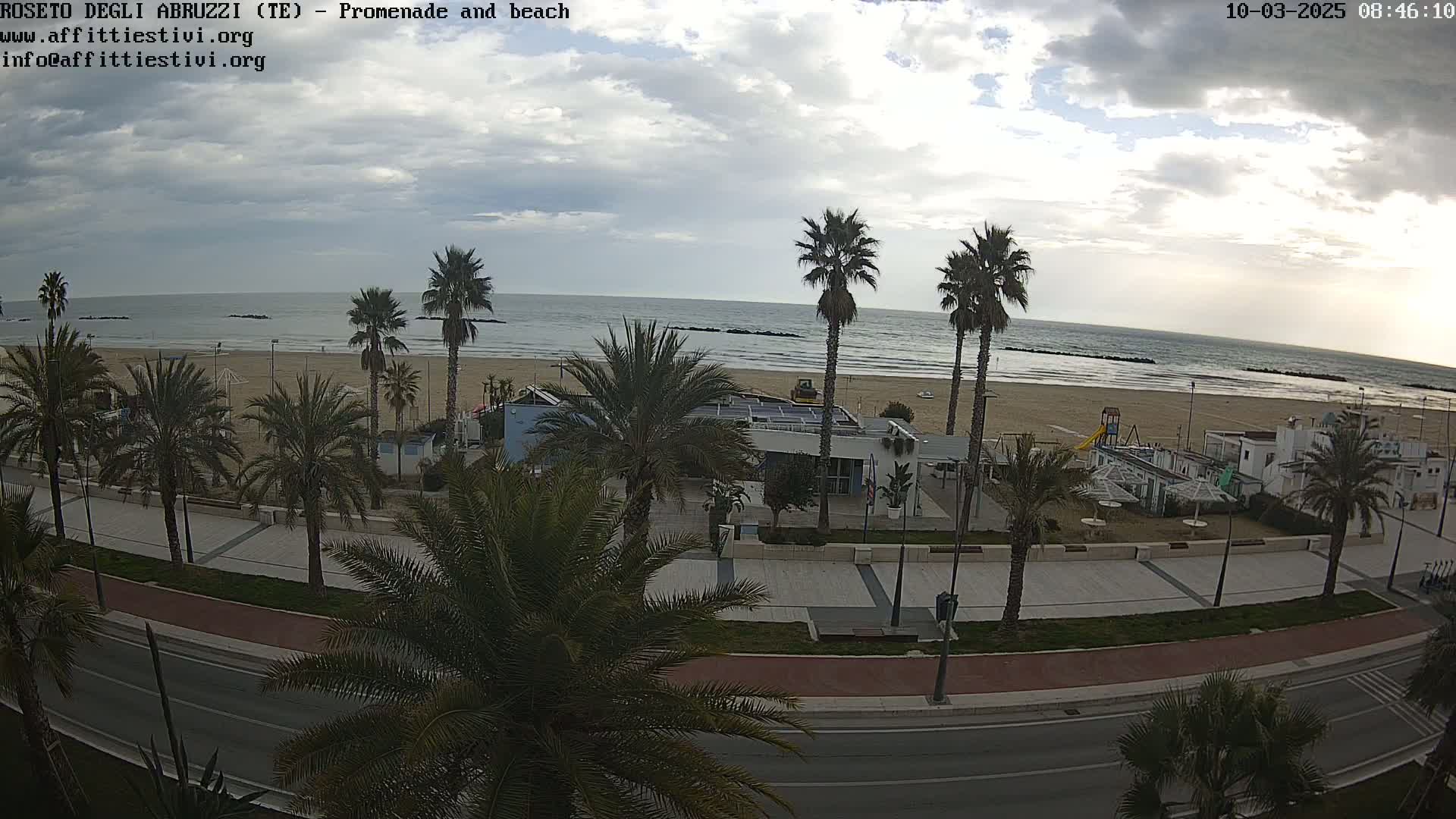 A beachfront promenade with palm trees and a mostly cloudy sky overlooks a calm ocean.