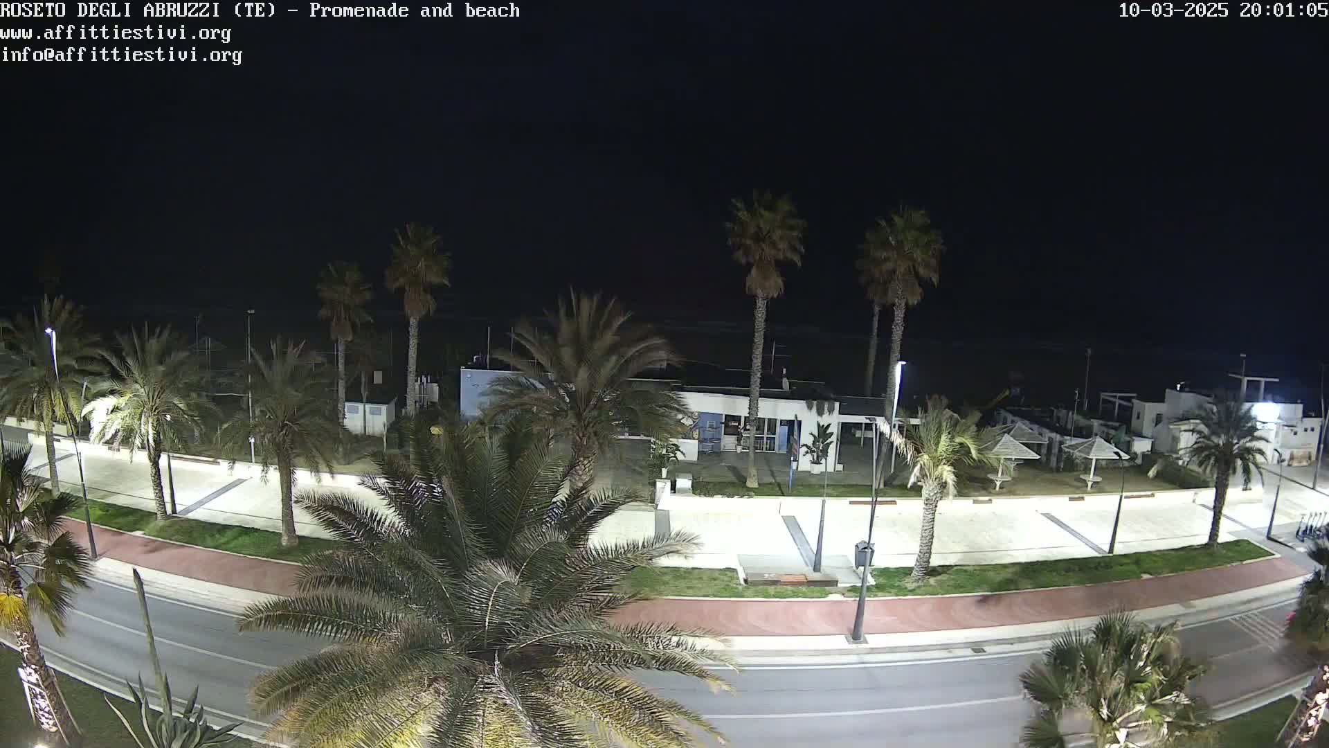 A nighttime view of a beachfront promenade lined with palm trees, featuring a roadway, a paved walkway, and beachside structures under a dark sky.