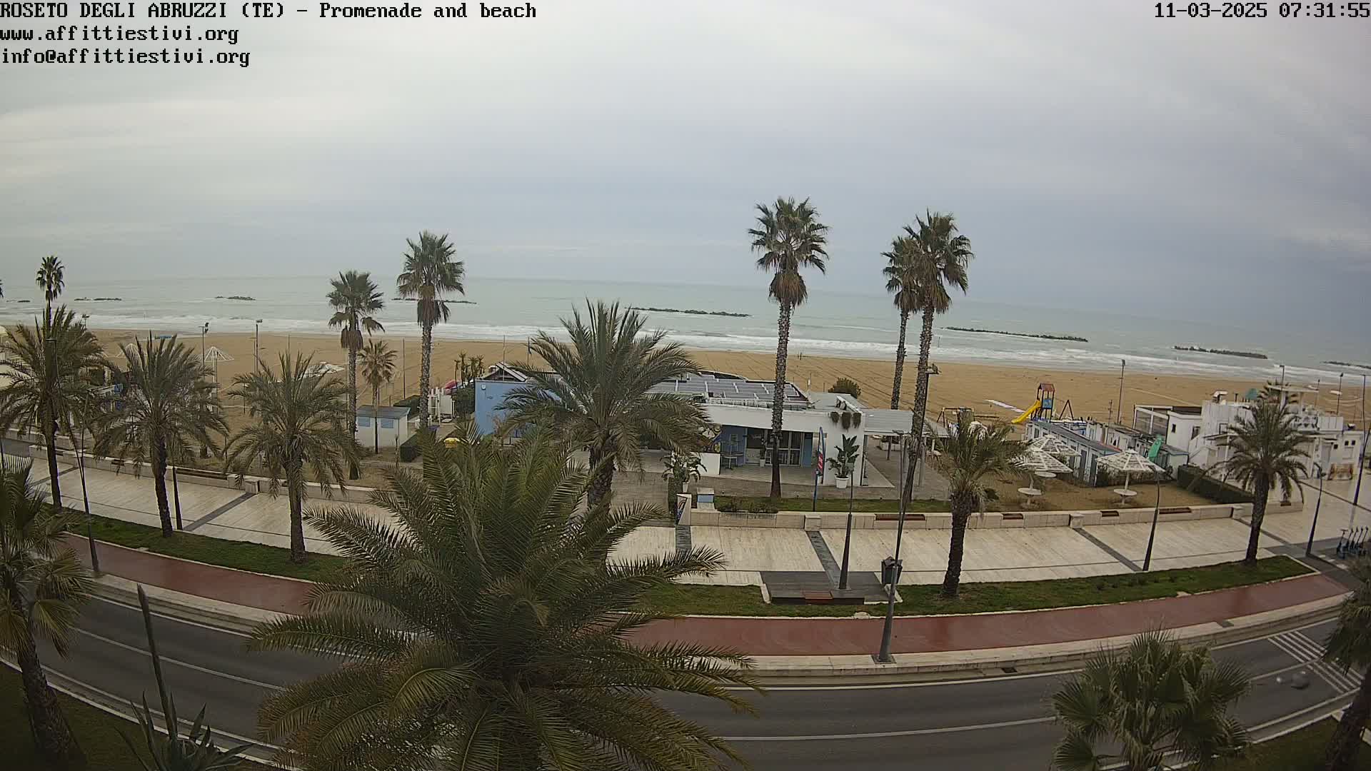 A seaside promenade with palm trees lines a road overlooking a sandy beach with gentle waves under an overcast sky.