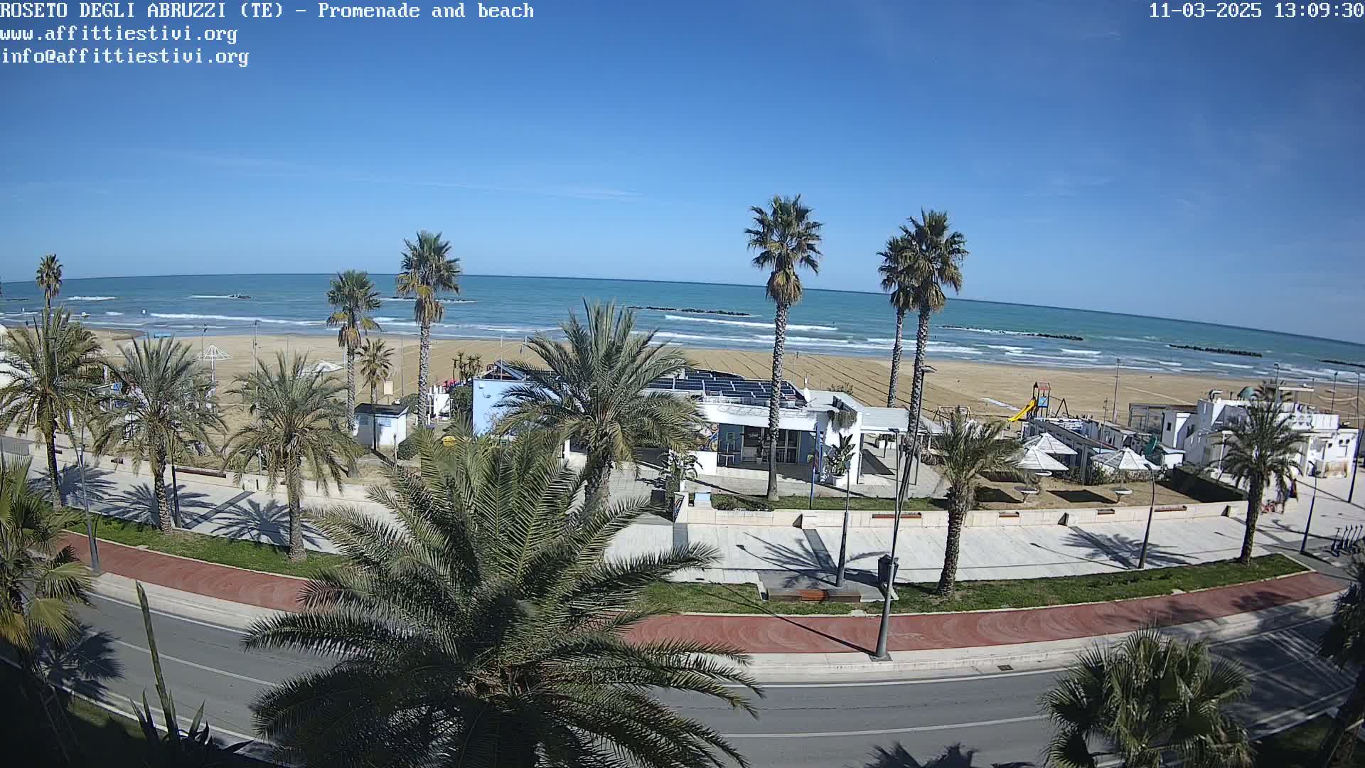 A sunny beach scene with palm trees lining a promenade next to a calm ocean.