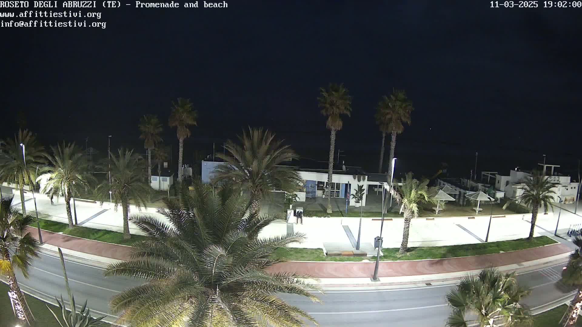 A nighttime view of a beach promenade with palm trees lining a road next to a mostly empty beach under a dark sky.