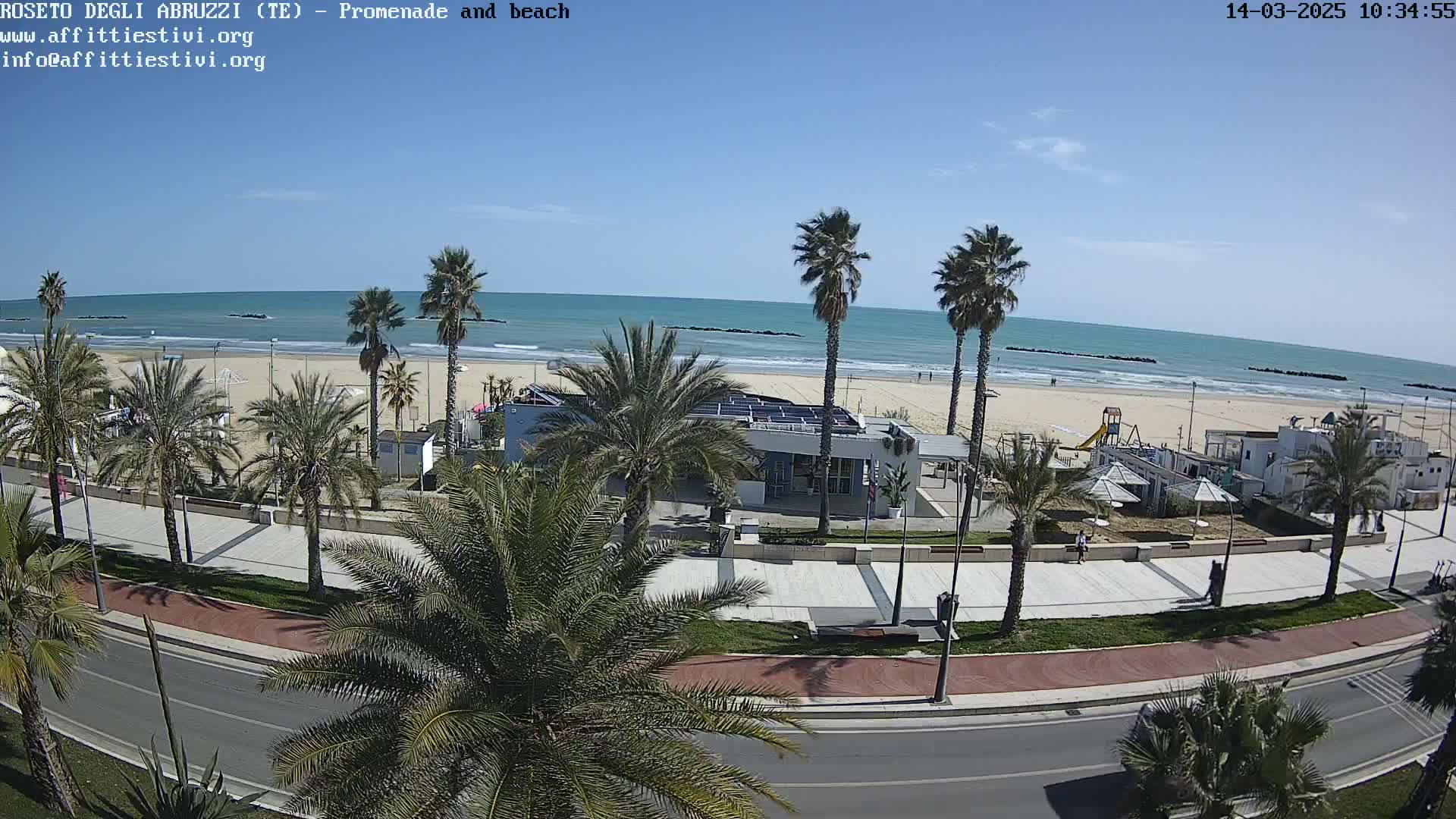 A sunny day at a beach with palm trees lining a promenade next to a sandy shore and calm ocean.