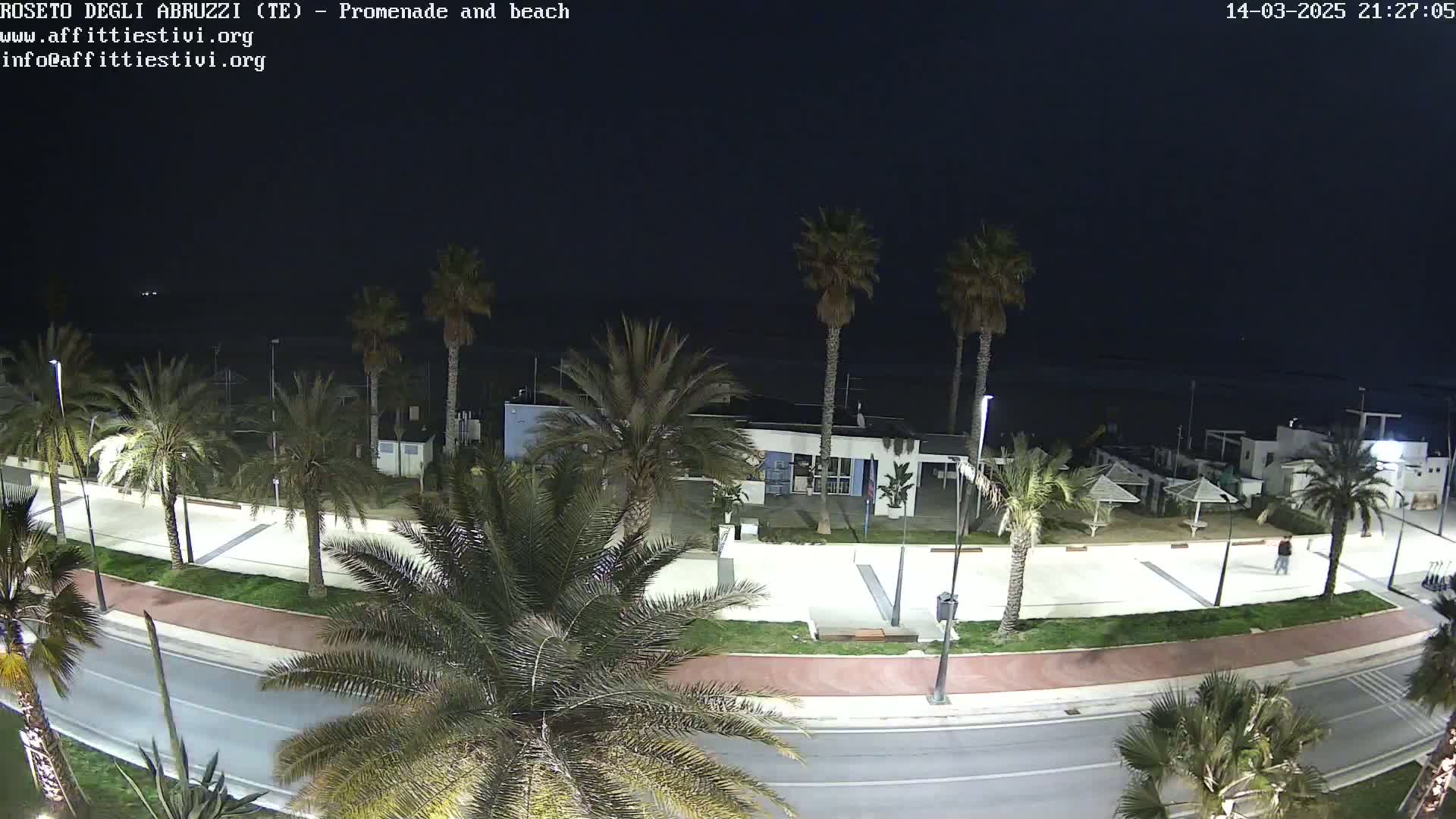 A nighttime, overhead view of a beachfront promenade lined with palm trees, featuring a paved walkway, road, and beachside buildings under a dark sky.