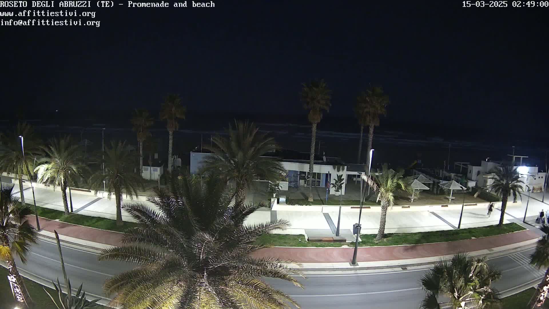 A nighttime view of a beachfront promenade lined with palm trees, under a dark sky.