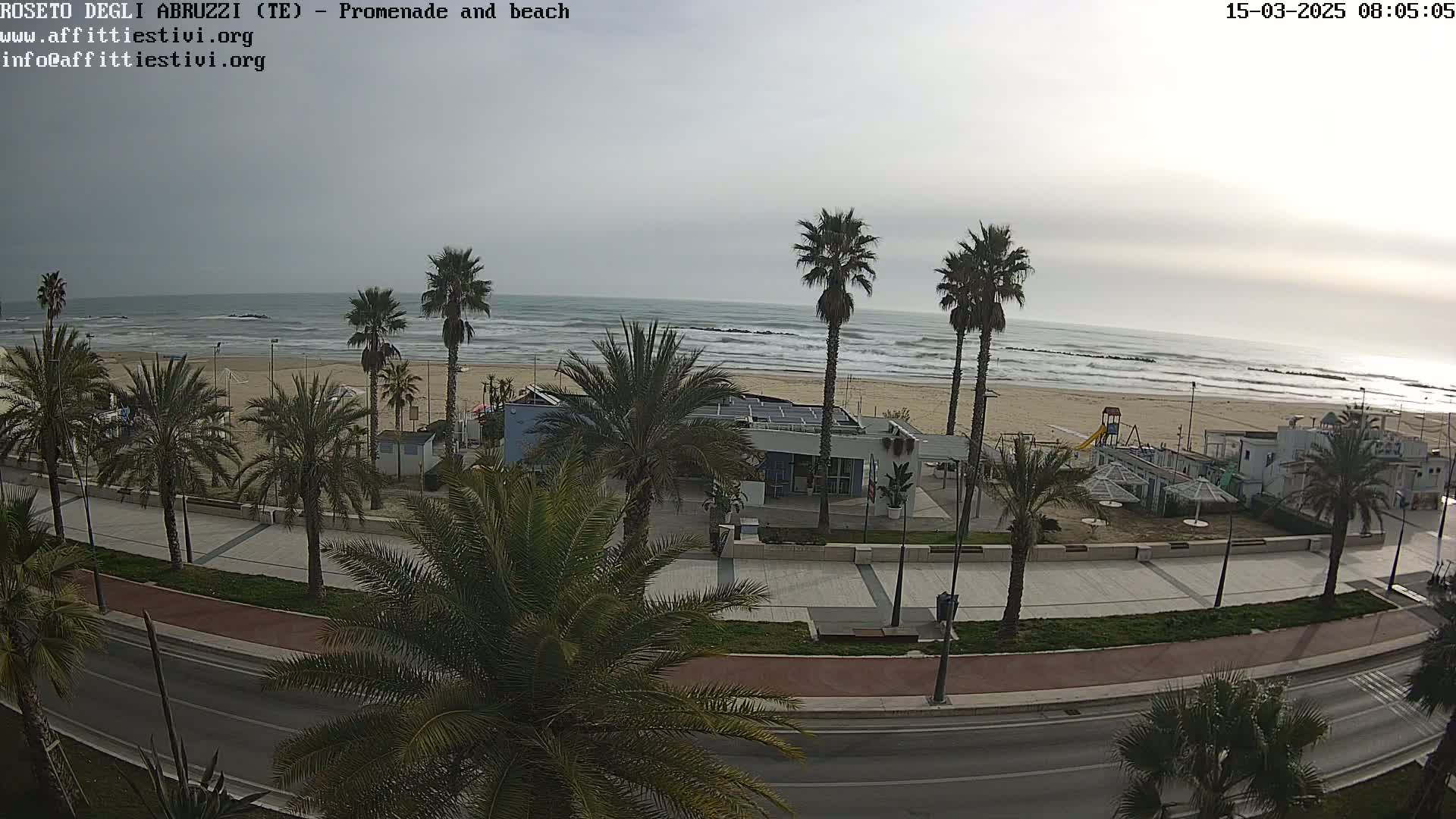 A beach with palm trees lining a paved promenade, overlooking a moderately wavy ocean under an overcast sky.