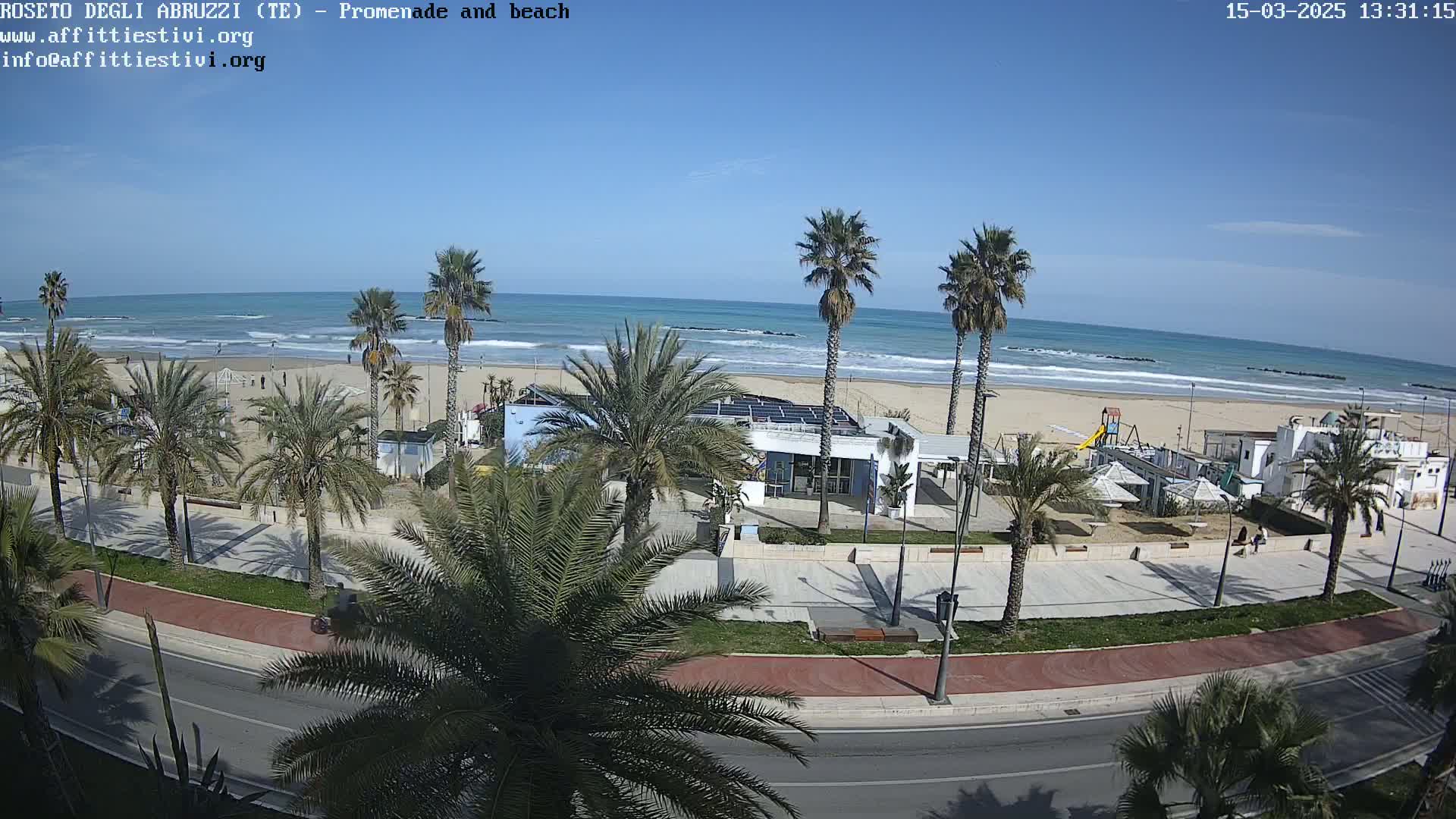 A beach with palm trees lining a paved promenade next to a road, under a clear blue sky.