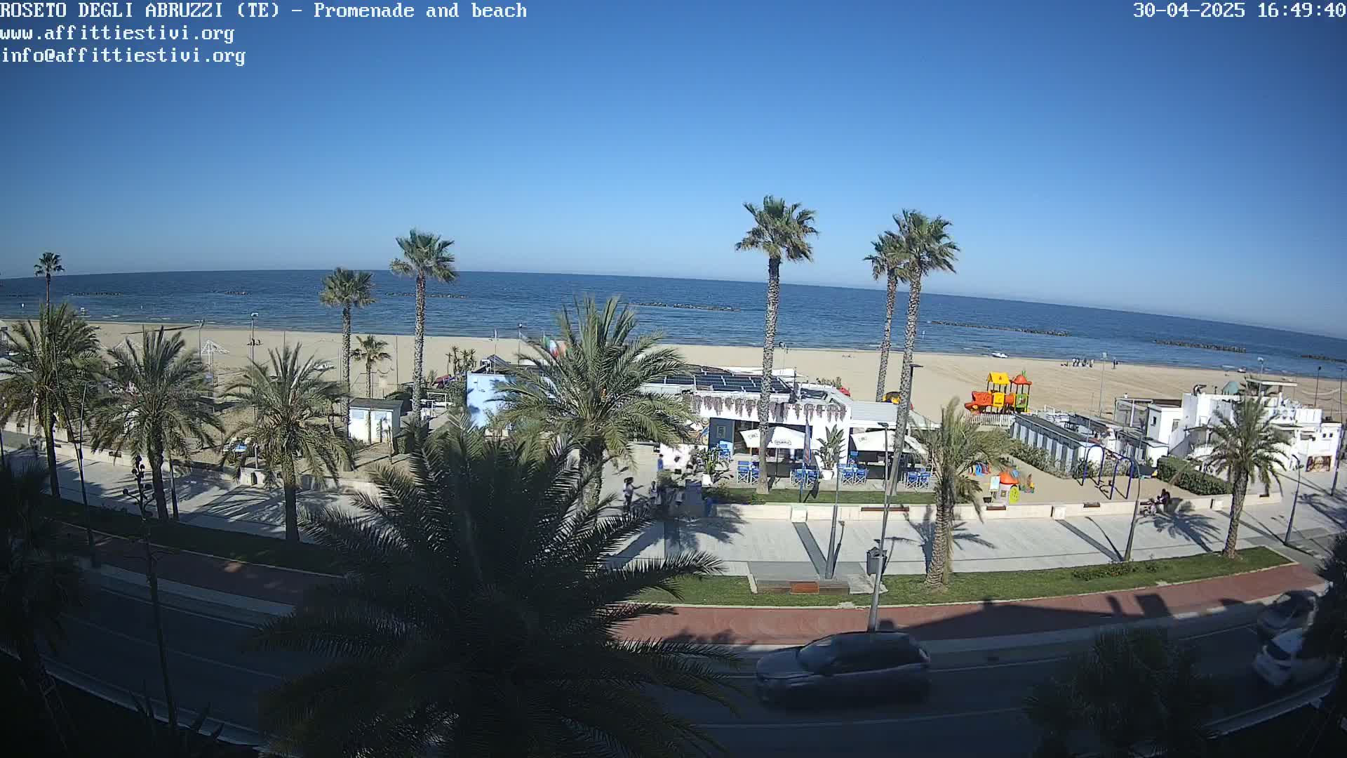 A beach with palm trees lining a promenade next to a calm ocean under a clear blue sky.