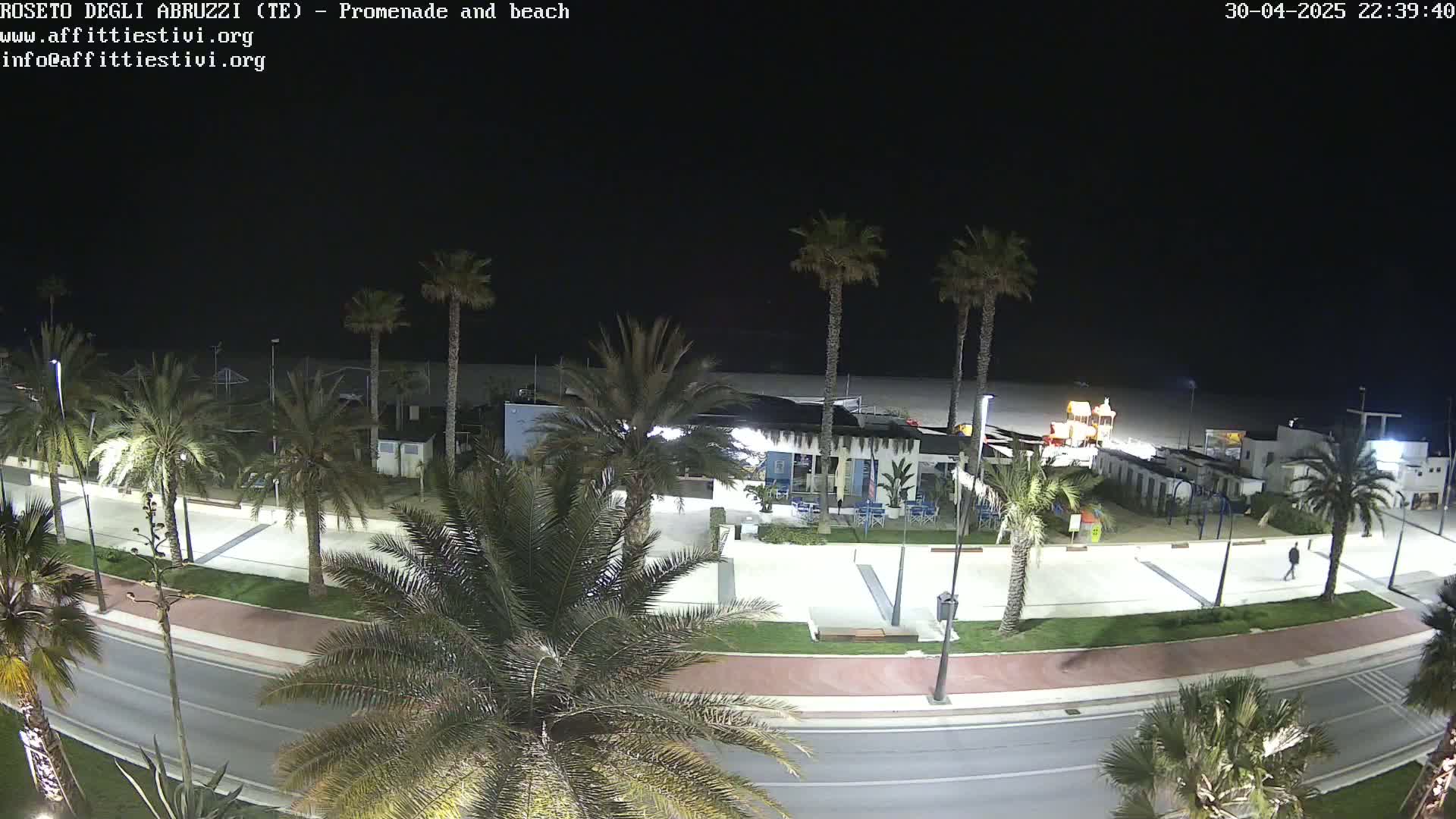 A nighttime view of a beach promenade lined with palm trees, featuring a beachside building and a mostly empty sandy beach under a clear, dark sky.
