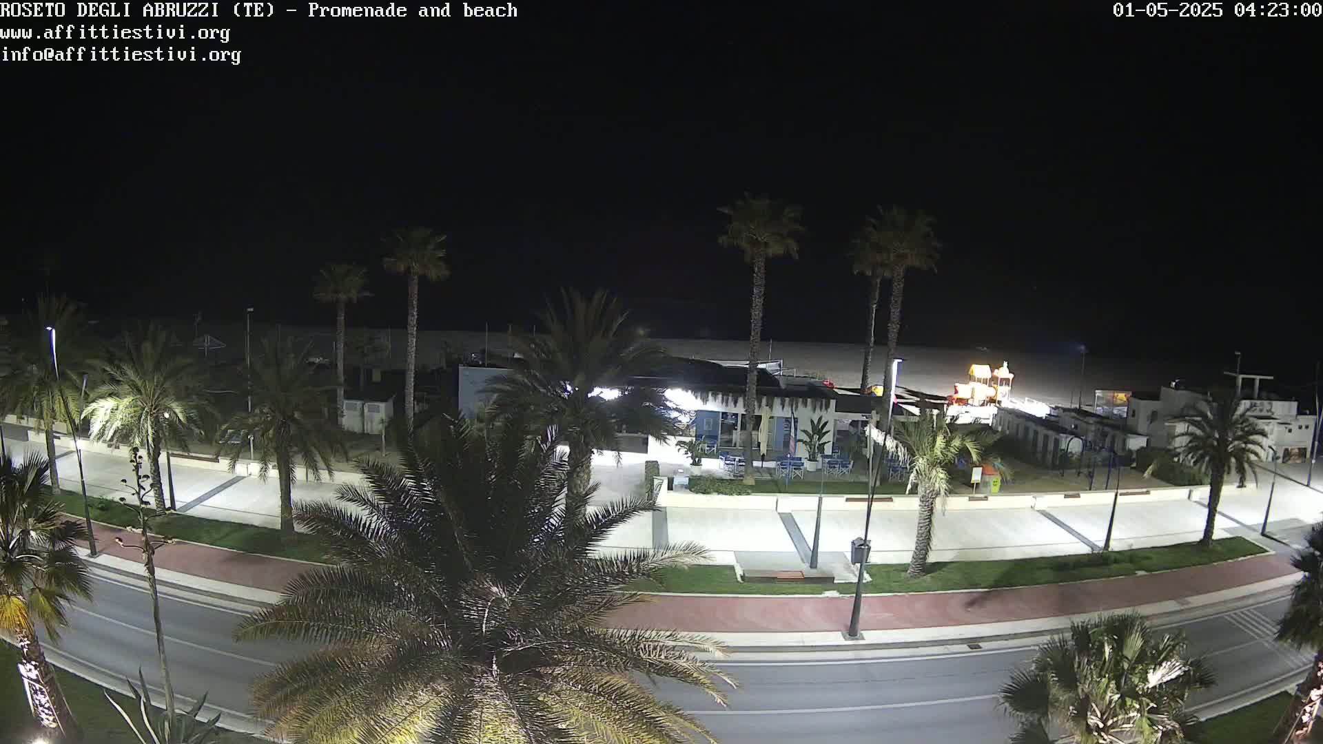 A nighttime, overhead view shows a mostly empty beach, a promenade lined with palm trees, and a roadway.