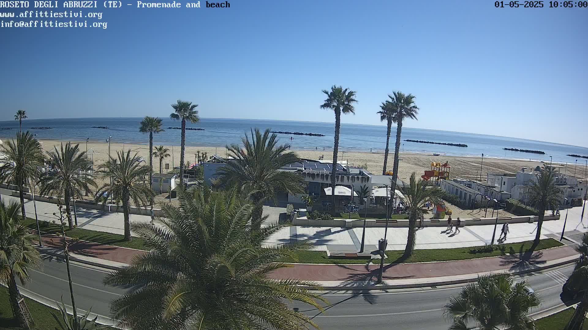 A sunny day at a beachside promenade shows palm trees lining a paved walkway next to a sandy beach and calm ocean.