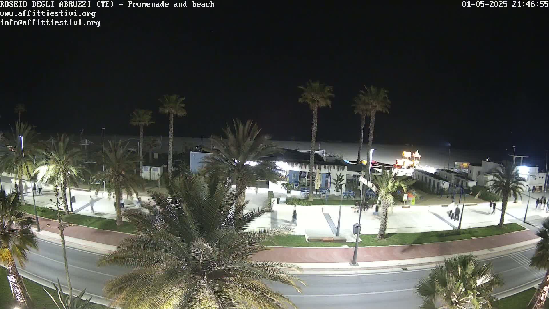 A nighttime, overhead view of a beach promenade with palm trees lining a road, and a few people walking along the pathway near a beachfront building.