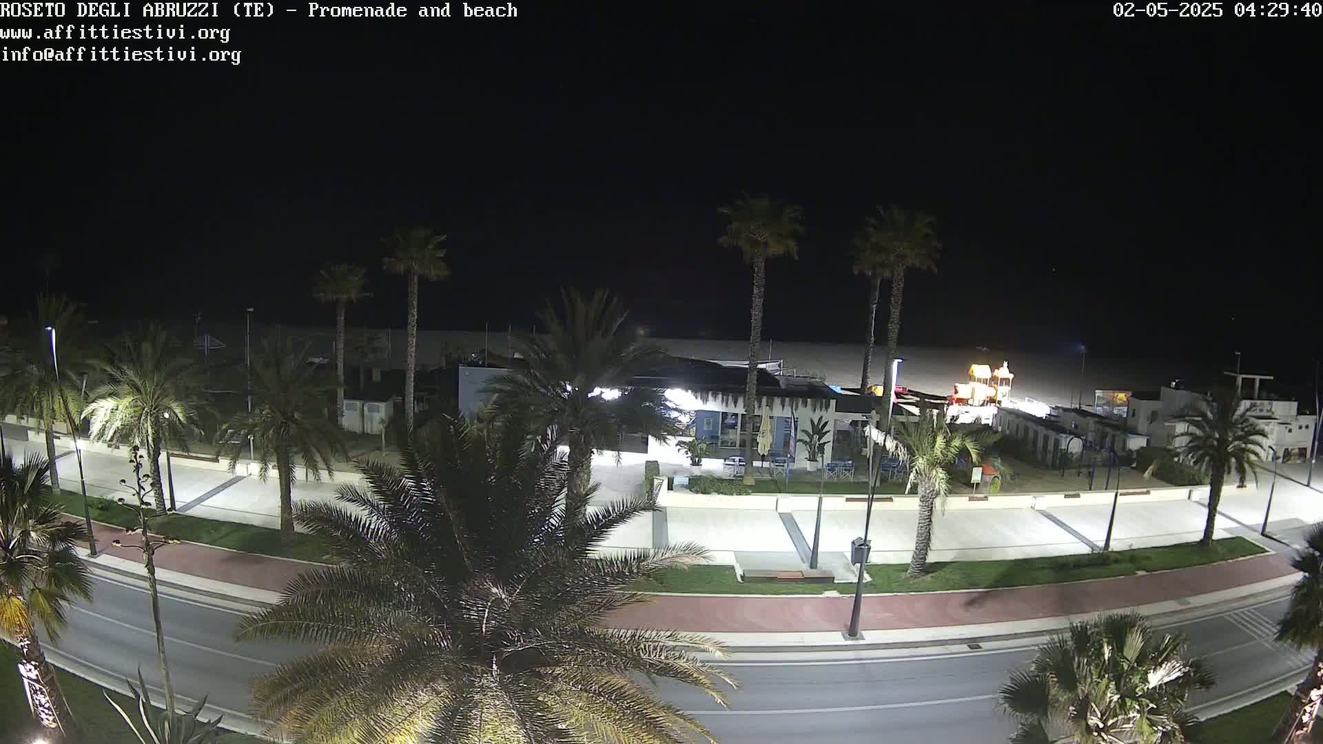 A nighttime view of a beach promenade lined with palm trees, showing a mostly empty beach and a few buildings under a clear, dark sky.