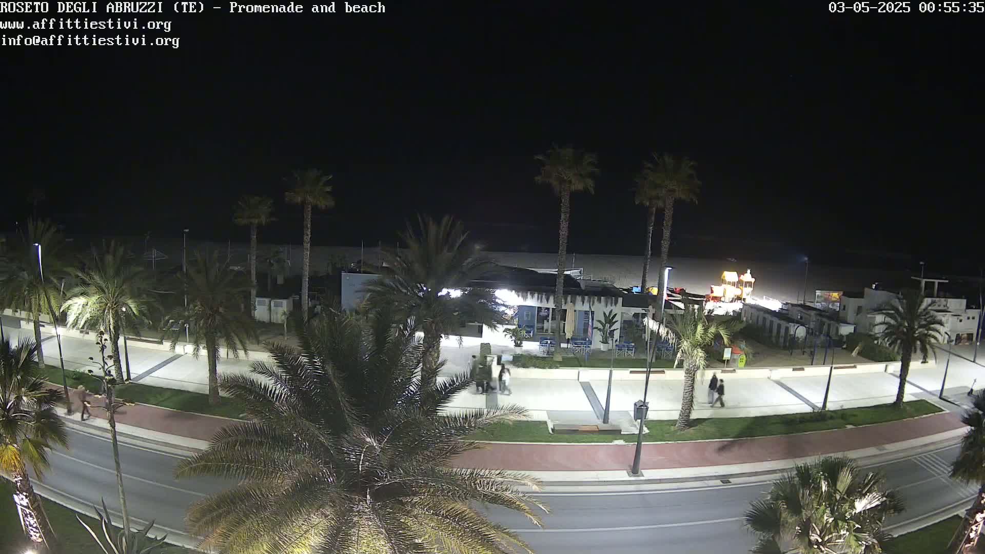 A nighttime, overhead view of a beach promenade lined with palm trees, a few people walking, and buildings near the shore under a dark sky.