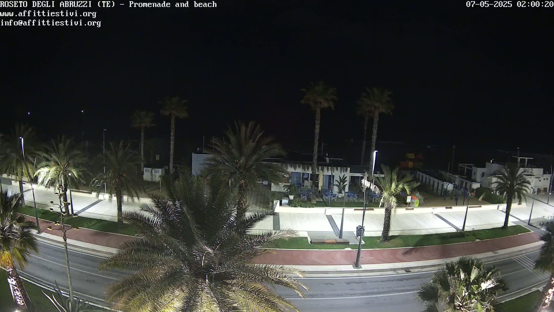 A nighttime view of a paved promenade and beach lined with palm trees, under a clear, dark sky.