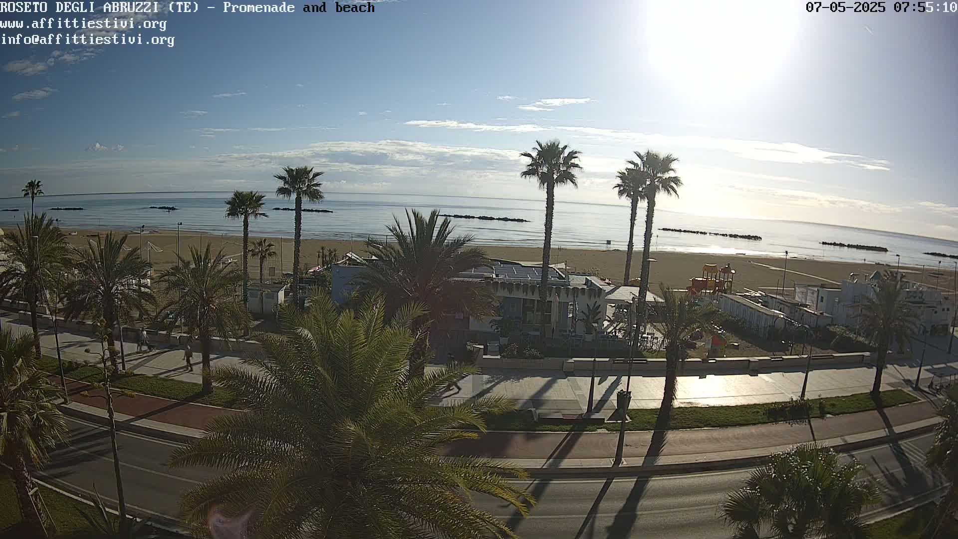 A sunny day reveals a beach scene with palm trees lining a promenade next to a sandy beach and calm ocean.