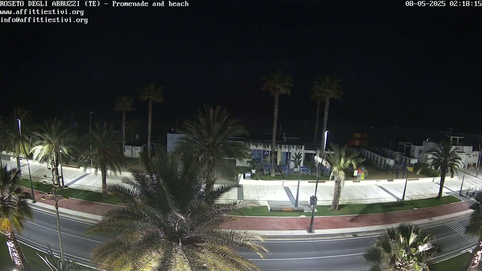 A nighttime, overhead view shows a beachside promenade with palm trees lining a road next to a beach and buildings.