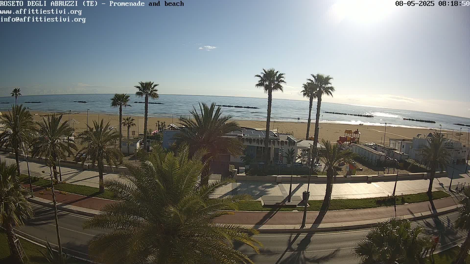 A sunny day at a beach promenade shows palm trees lining a road next to a sandy beach with calm ocean waters.
