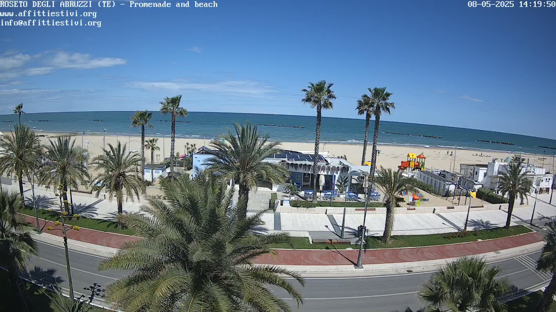 A sunny day at a beachside promenade shows palm trees lining a paved walkway next to a sandy beach with calm ocean waves.