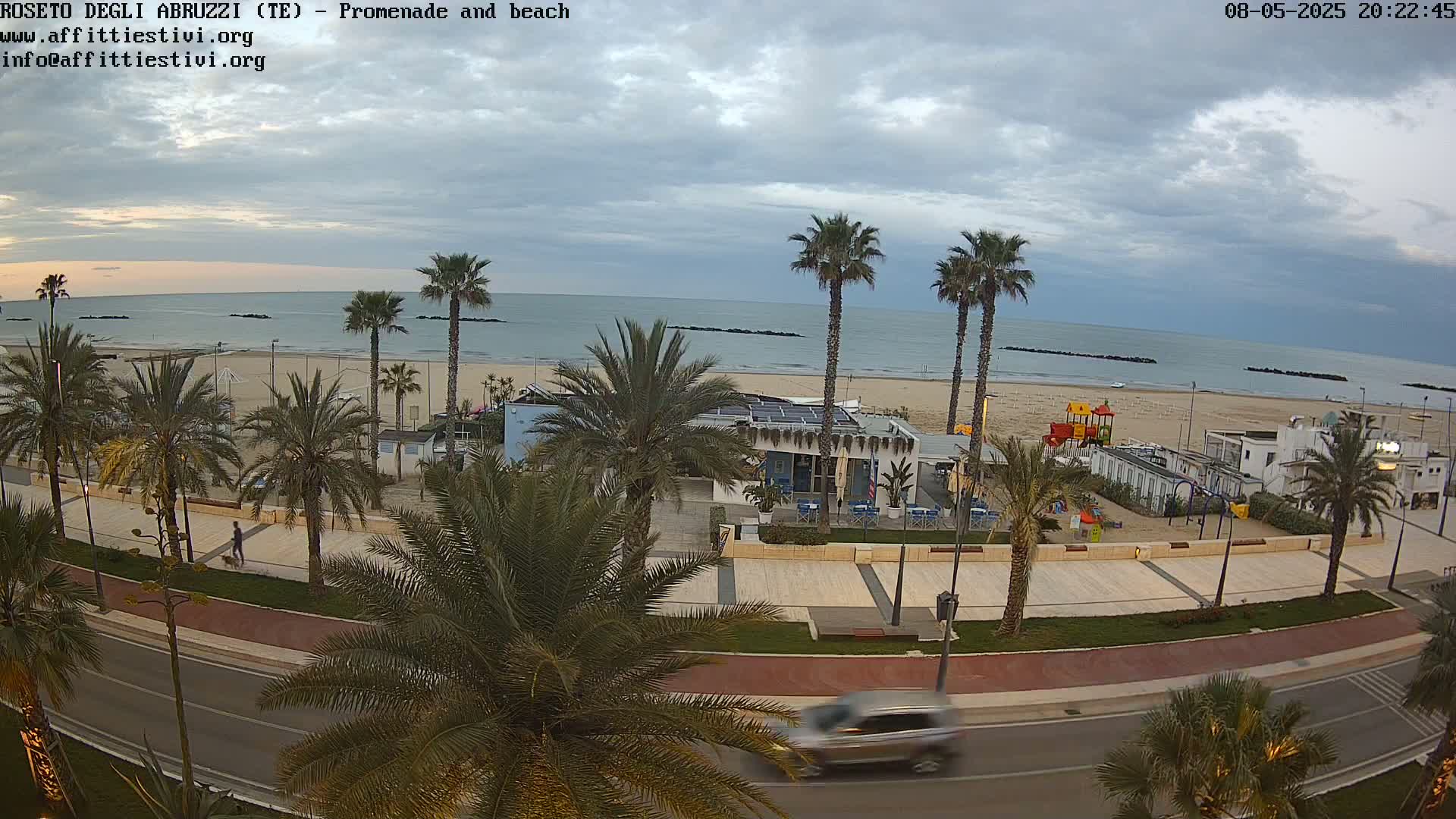 A seaside promenade with palm trees, a beach, and calm ocean under a cloudy sky.