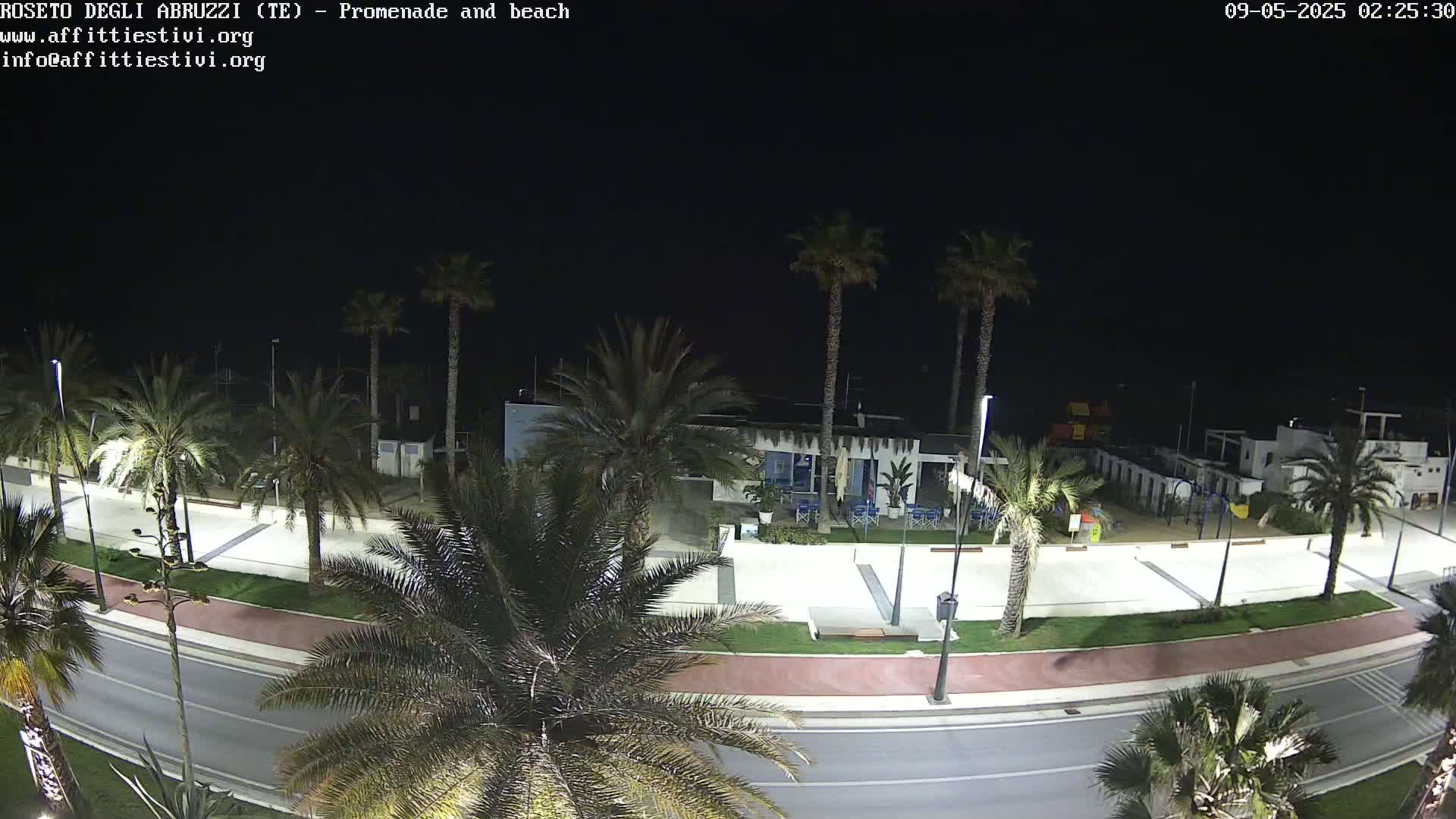A nighttime, overhead view shows a mostly empty promenade and beach lined with palm trees, with a road curving through the scene.