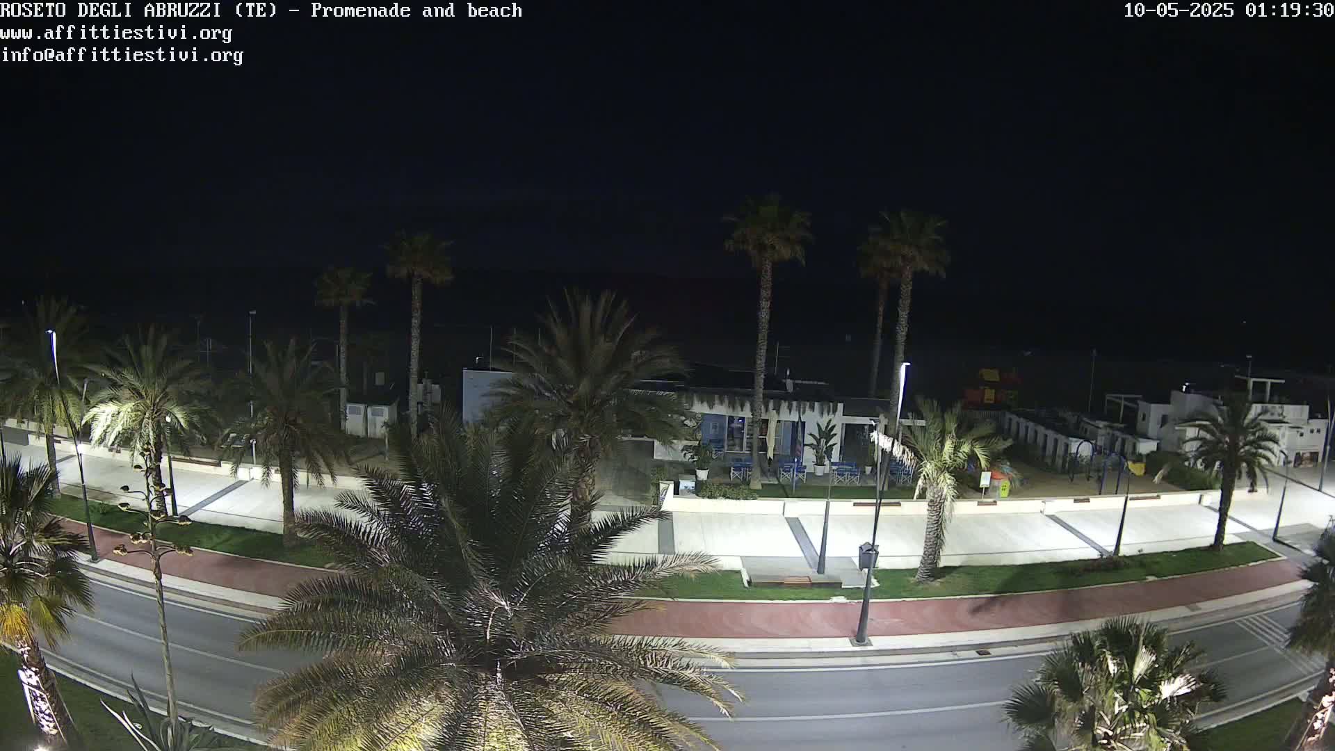 A nighttime, high-angle view shows a dark beach, a paved promenade lined with palm trees, and a road next to it.