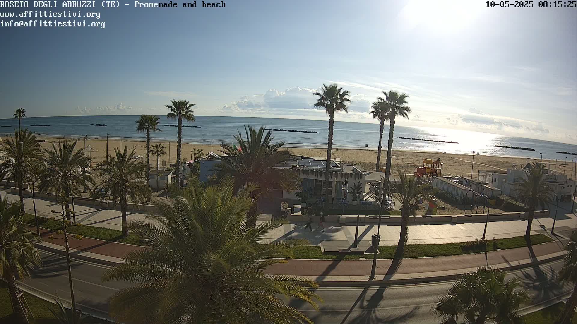 A sunny day at a beachside promenade shows palm trees lining a road next to a sandy beach and calm ocean.